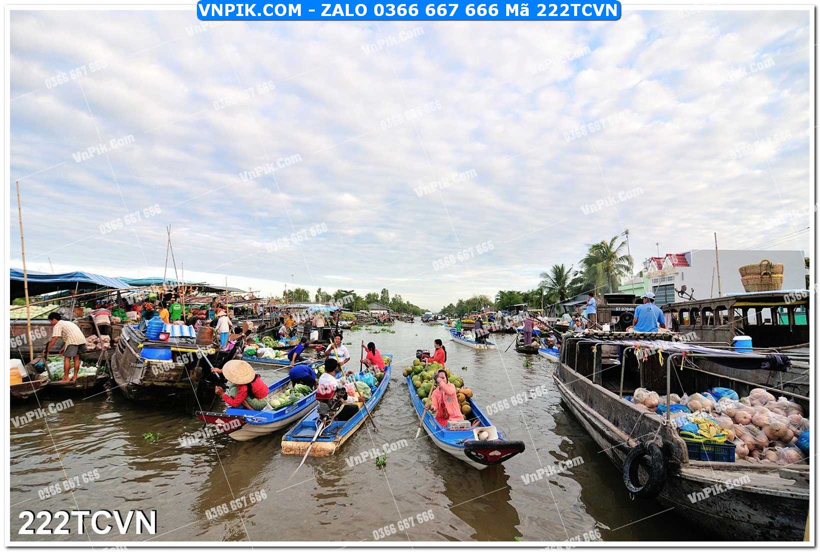 Mẫu tranh thắng cảnh việt nam mã file 222TCVN