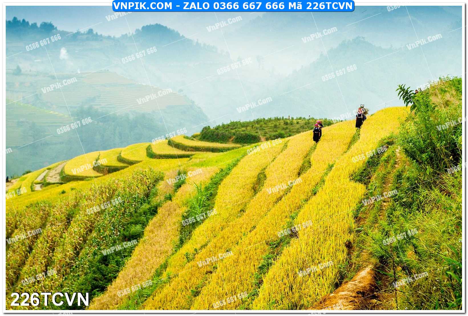 Mẫu tranh thắng cảnh việt nam mã file 226TCVN