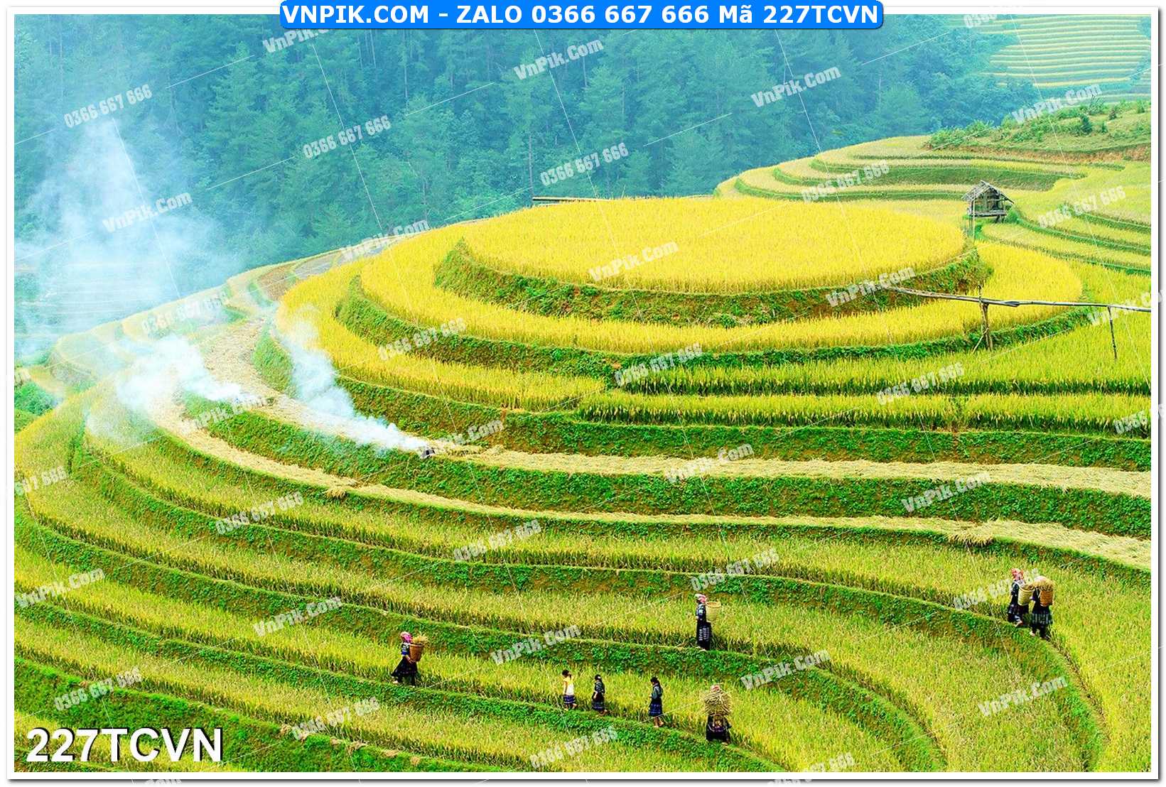 Mẫu tranh thắng cảnh việt nam mã file 227TCVN