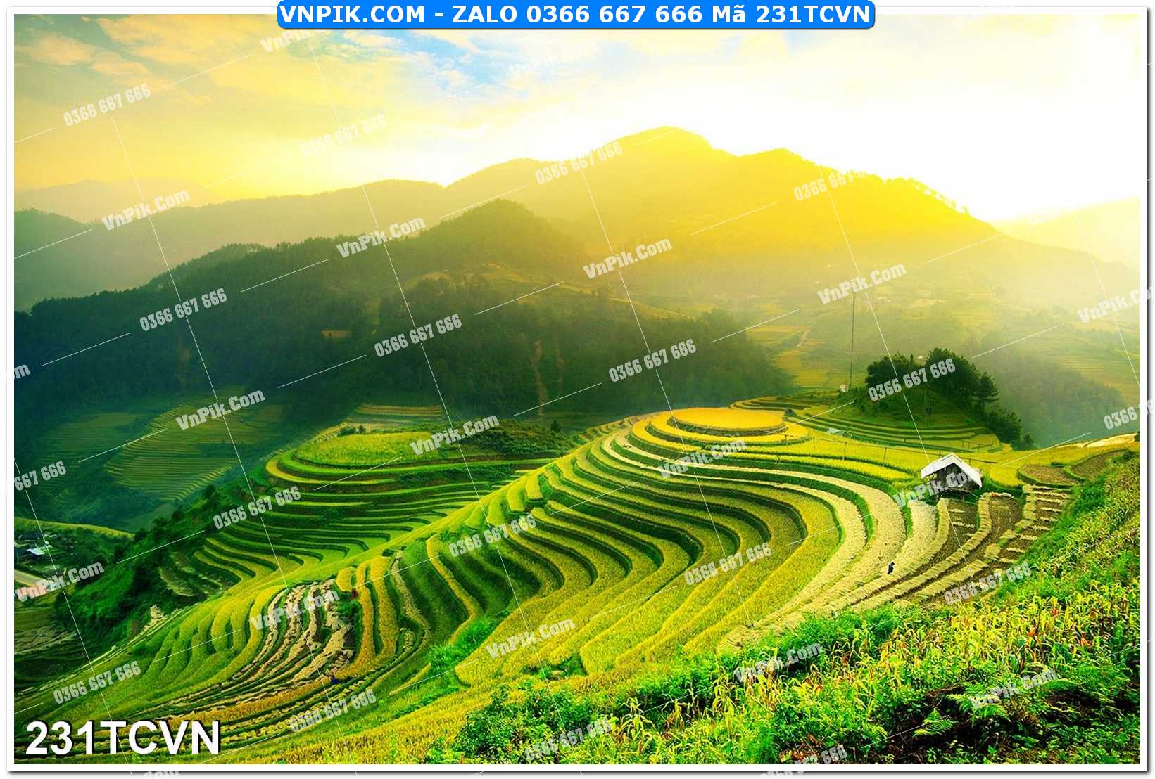 Mẫu tranh thắng cảnh việt nam mã file 231TCVN