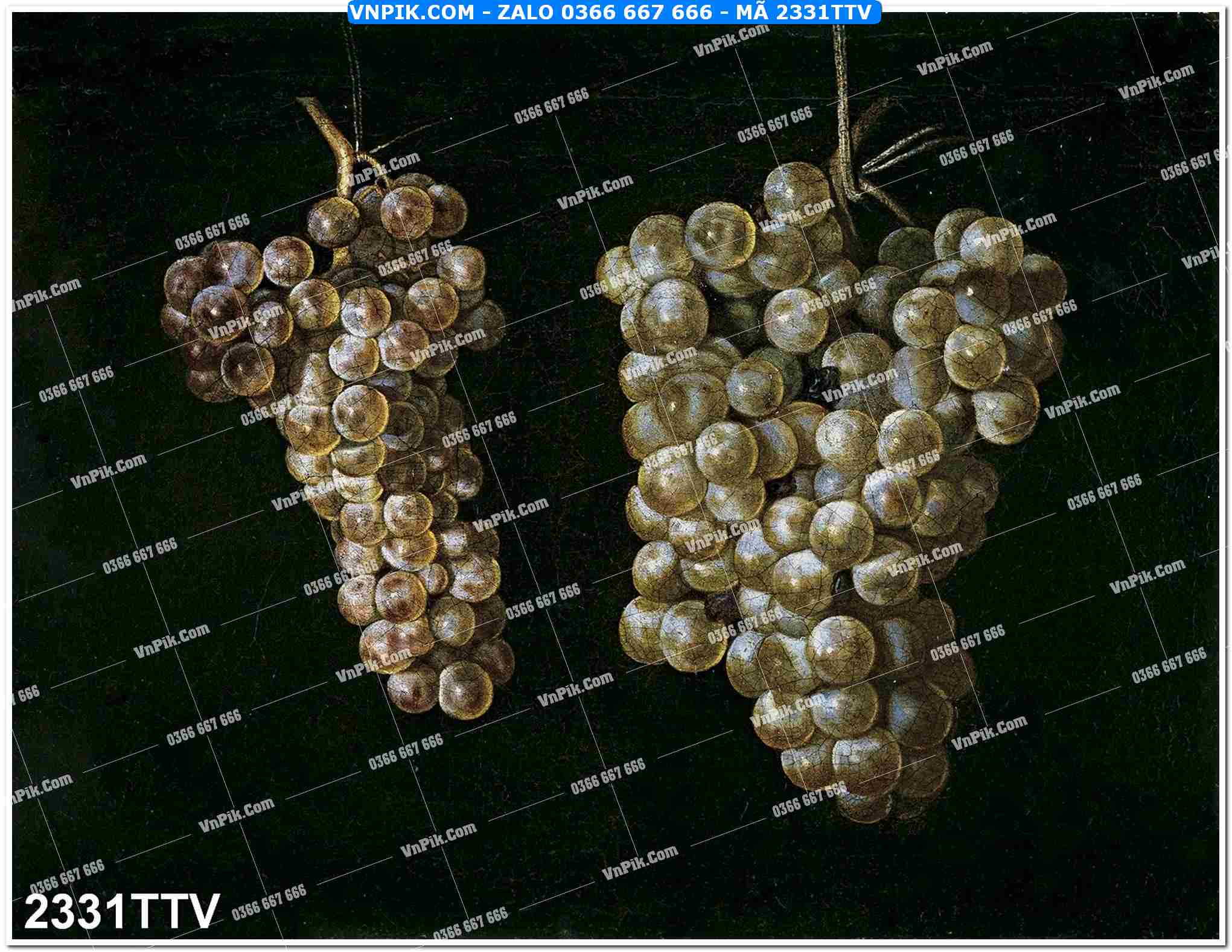 Tranh sơn dầu tĩnh vật hoa quả mã file 2331TTV
