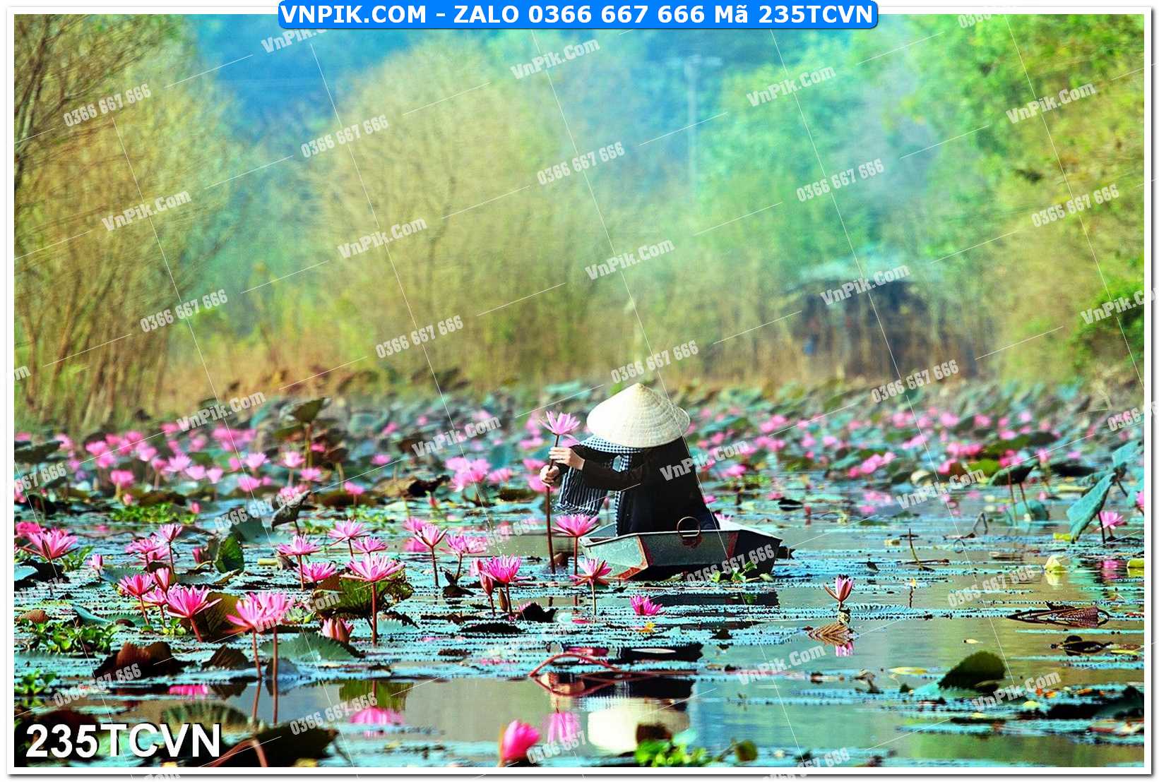 Mẫu tranh thắng cảnh việt nam mã file 235TCVN