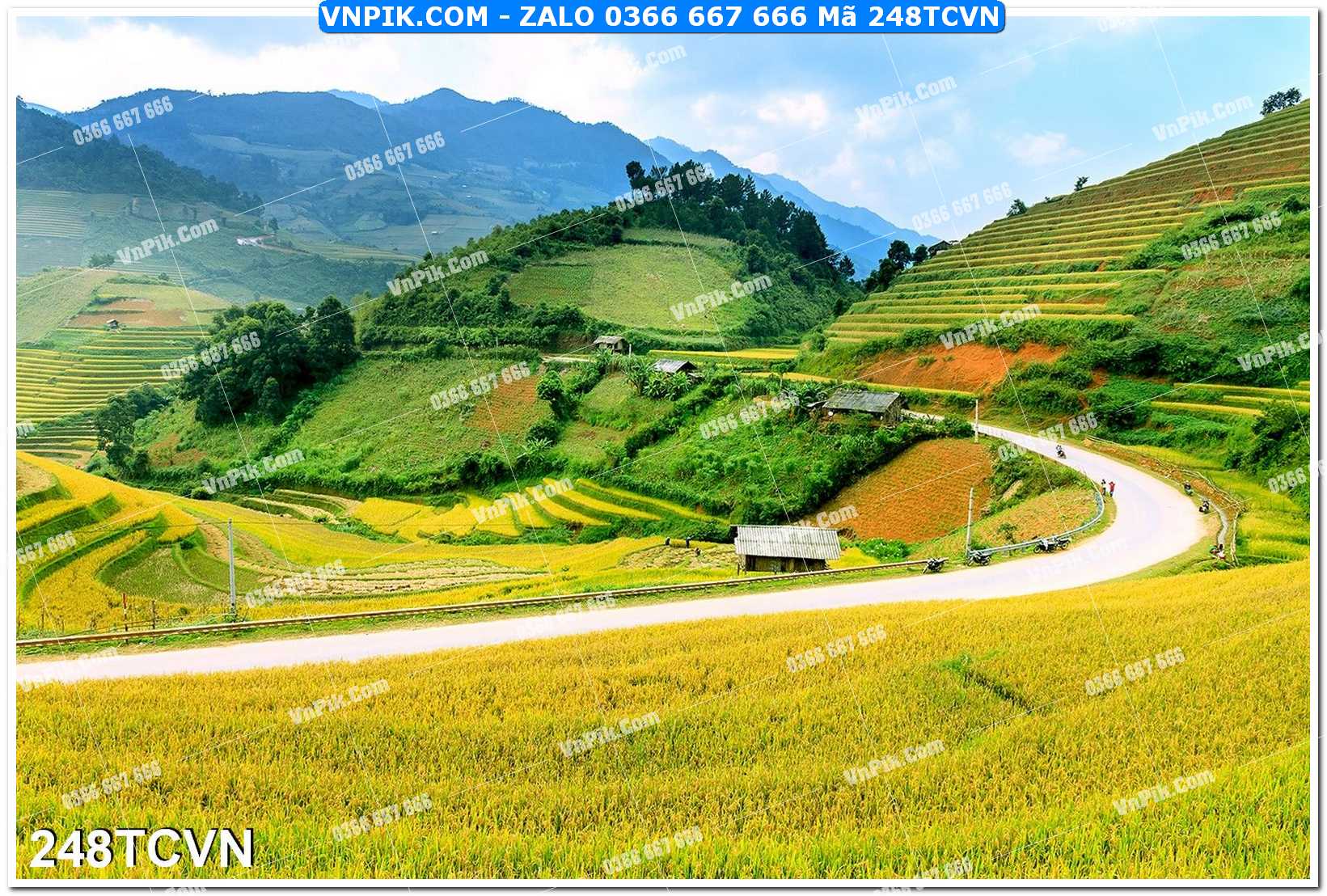 Mẫu tranh thắng cảnh việt nam mã file 248TCVN