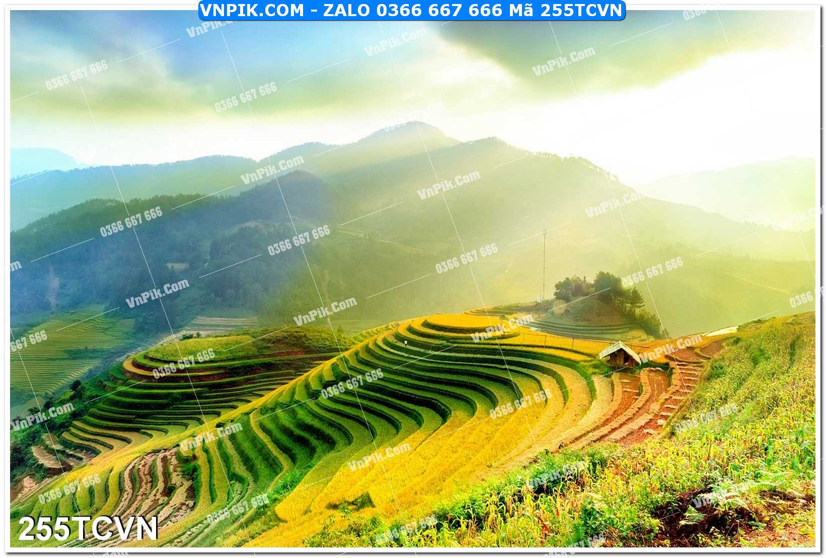Mẫu tranh thắng cảnh việt nam mã file 255TCVN