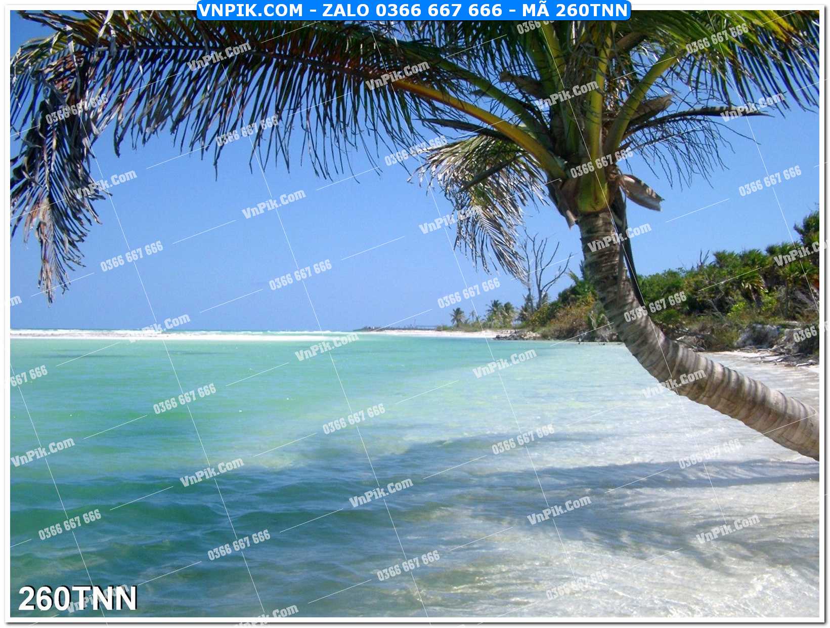 Tranh phong cảnh thiên nhiên mã file 260TNN