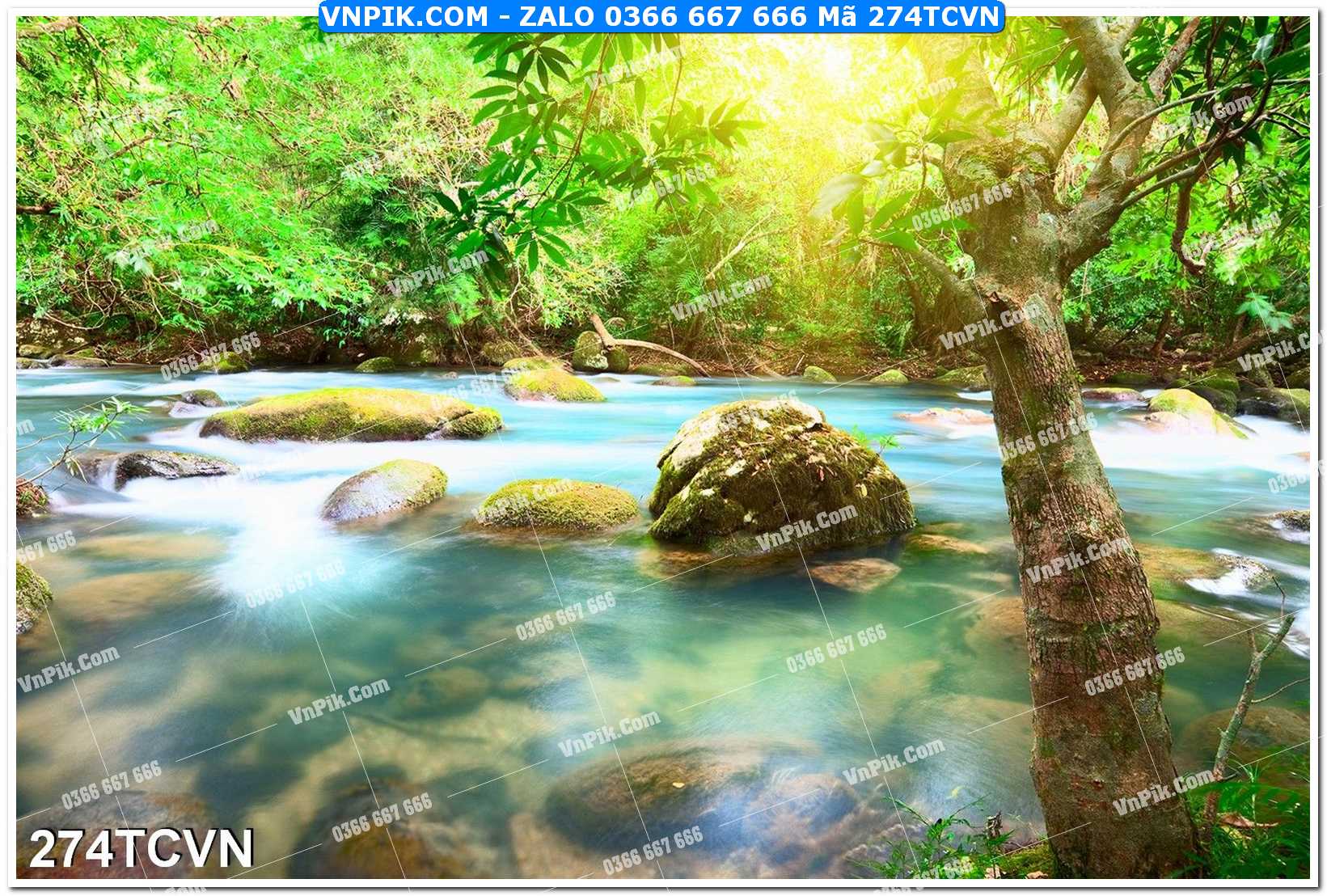 Mẫu tranh thắng cảnh việt nam mã file 274TCVN