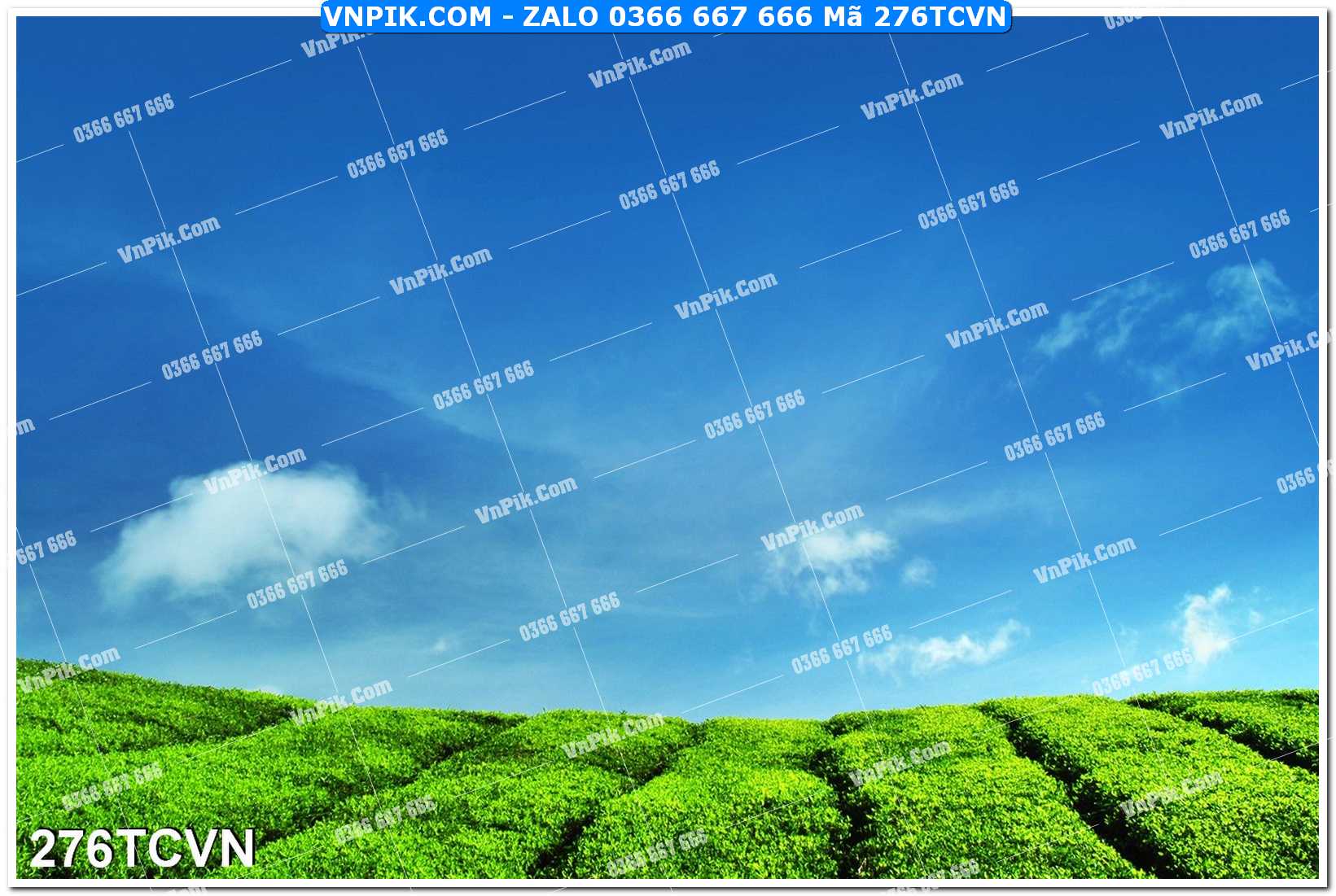 Mẫu tranh thắng cảnh việt nam mã file 276TCVN