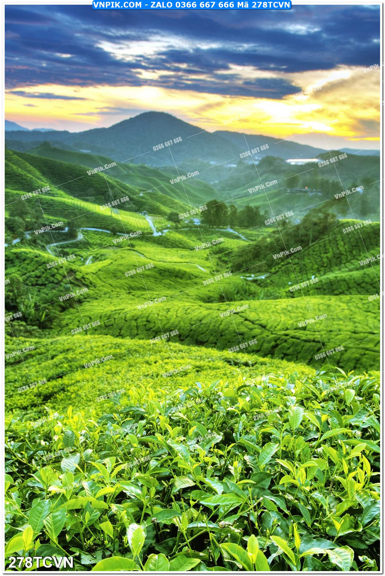 Mẫu tranh thắng cảnh việt nam mã file 278TCVN