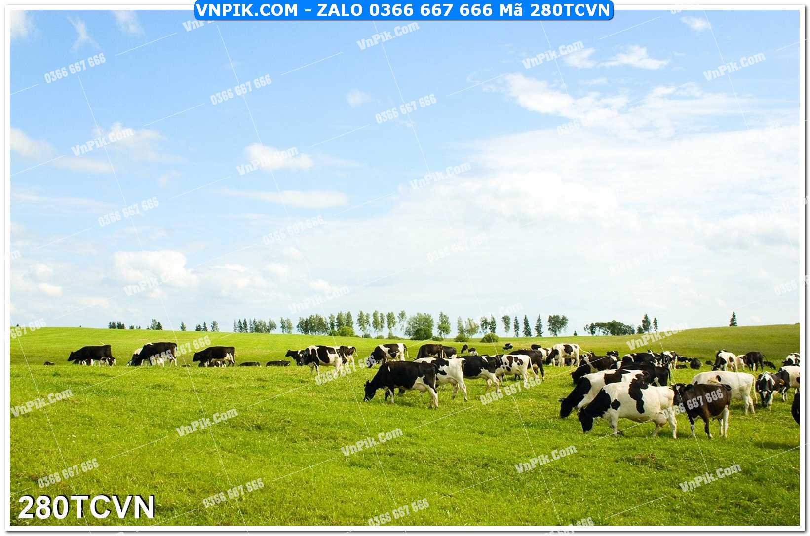 Mẫu tranh thắng cảnh việt nam mã file 280TCVN