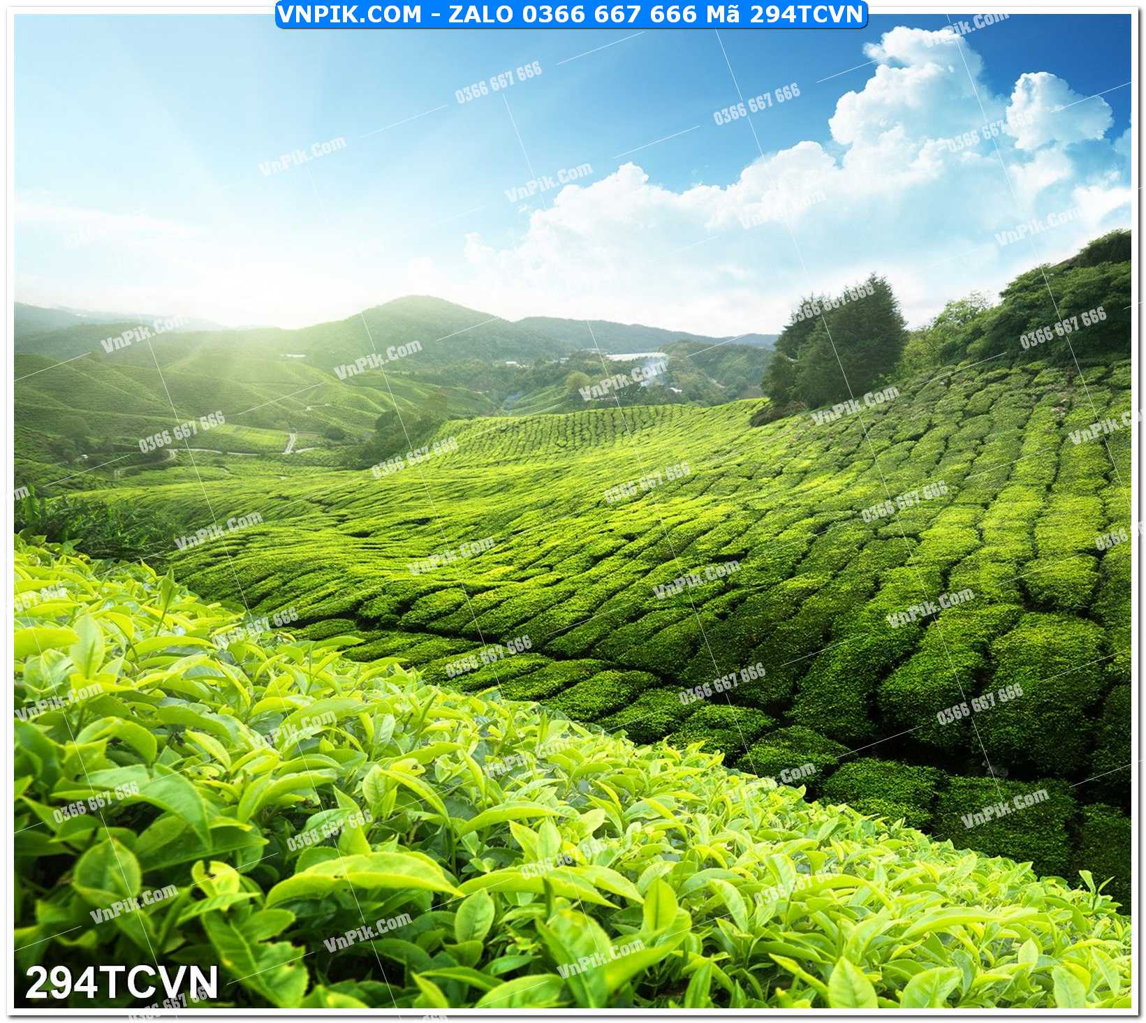 Mẫu tranh thắng cảnh việt nam mã file 294TCVN