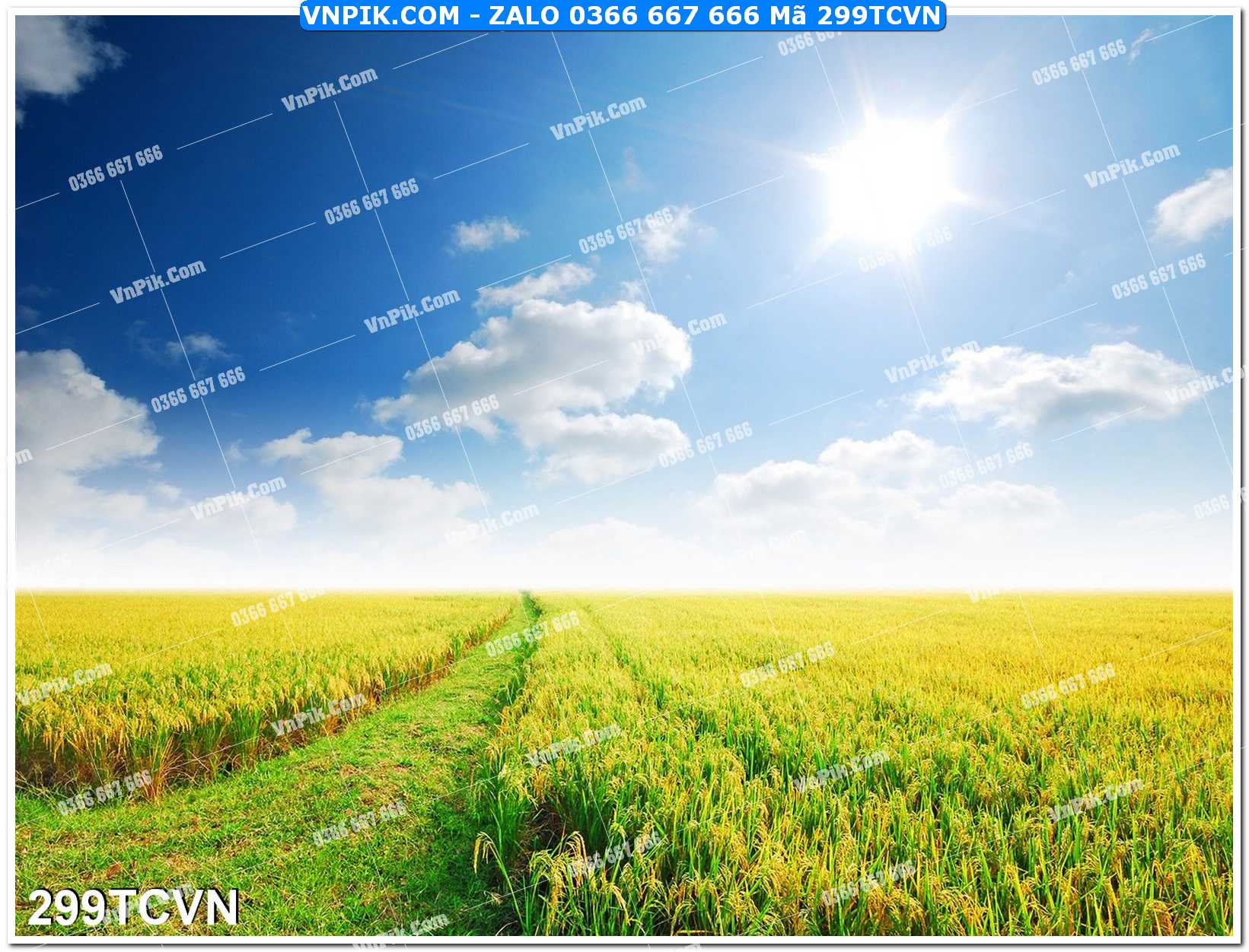 Mẫu tranh thắng cảnh việt nam mã file 299TCVN