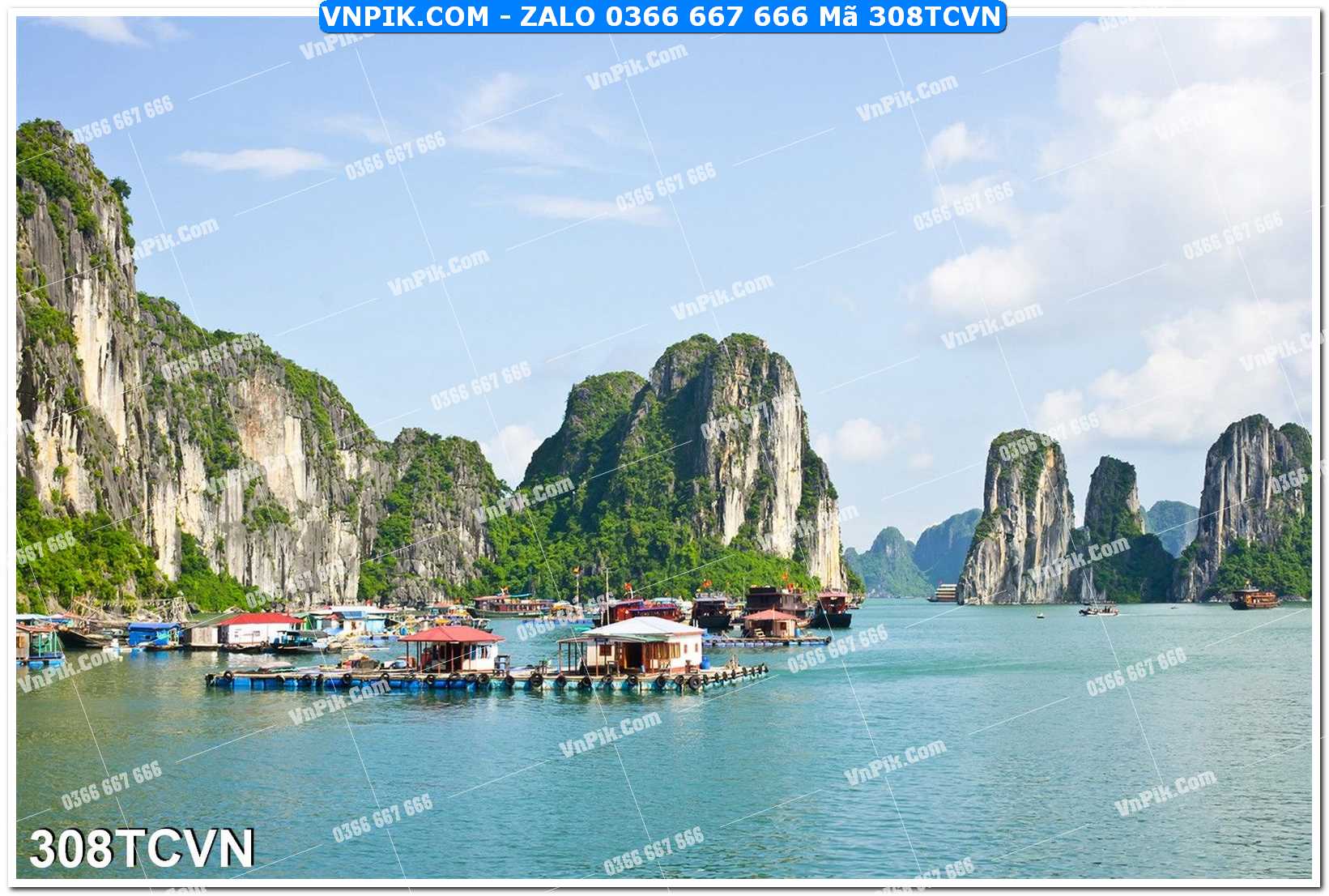 Mẫu tranh thắng cảnh việt nam mã file 308TCVN
