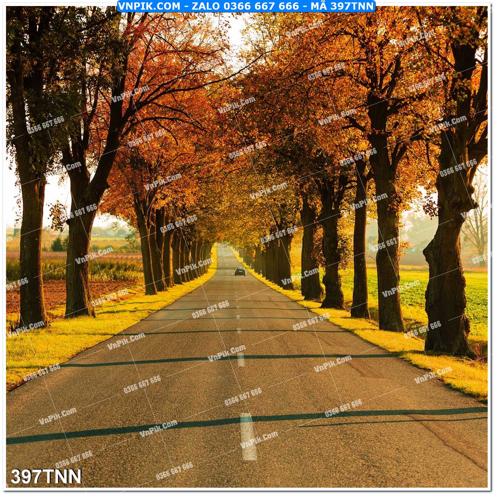 Tranh phong cảnh thiên nhiên mã file 397TNN