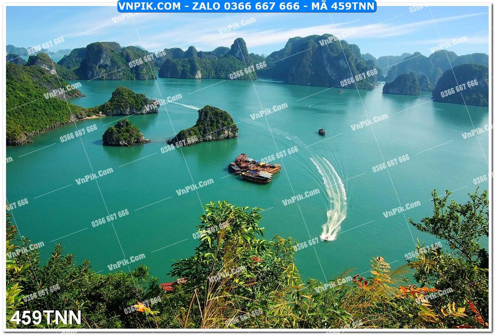 Tranh phong cảnh thiên nhiên mã file 459TNN