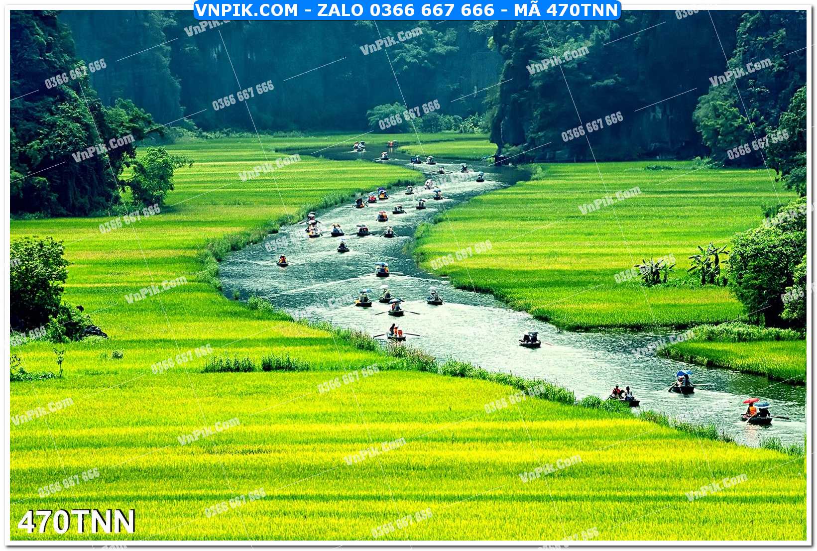 Tranh phong cảnh thiên nhiên mã file 470TNN