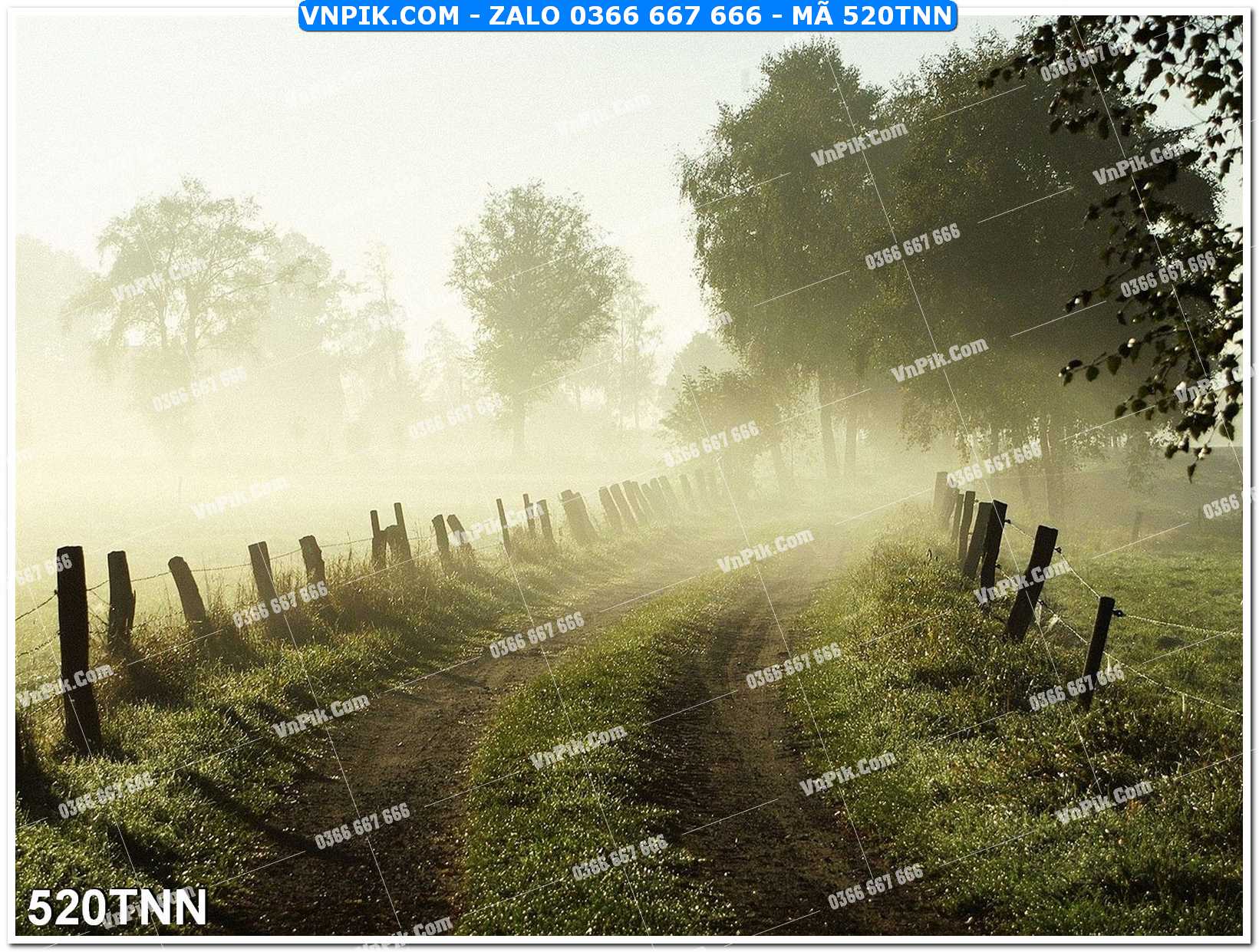 Tranh phong cảnh thiên nhiên mã file 520TNN