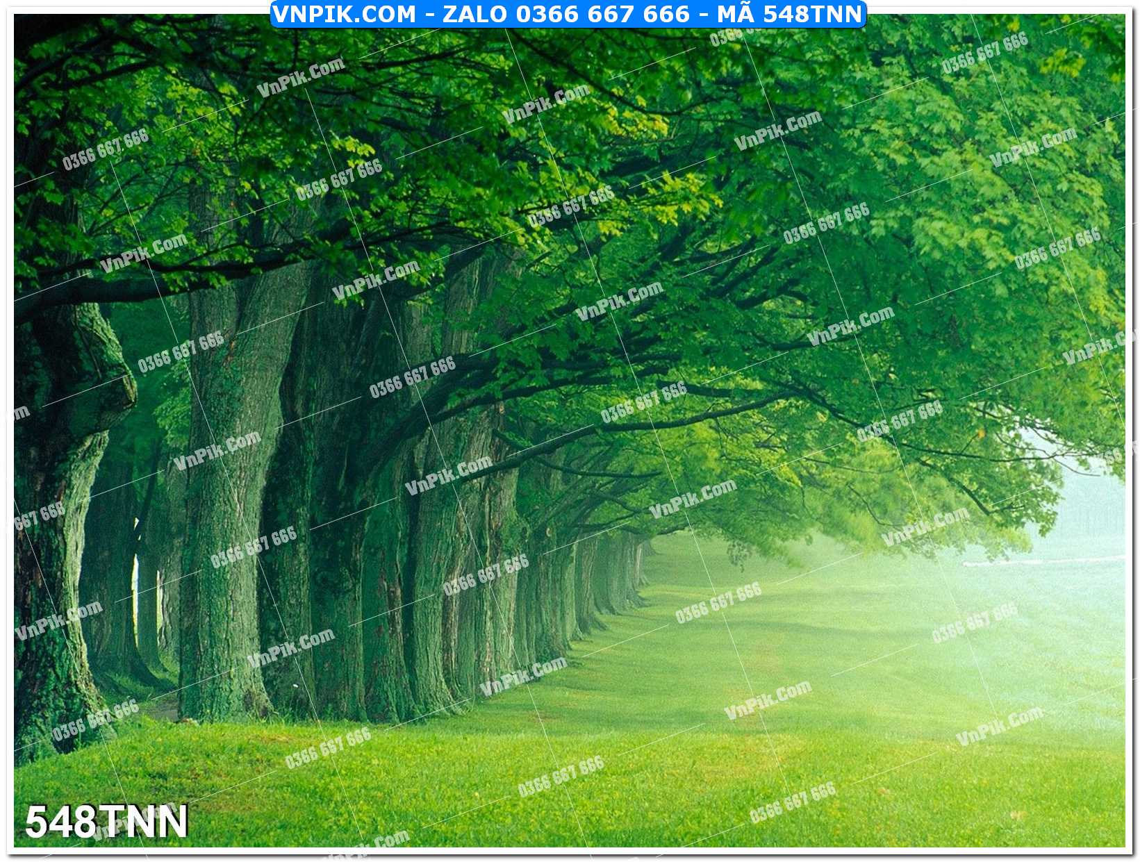 Tranh phong cảnh thiên nhiên mã file 548TNN