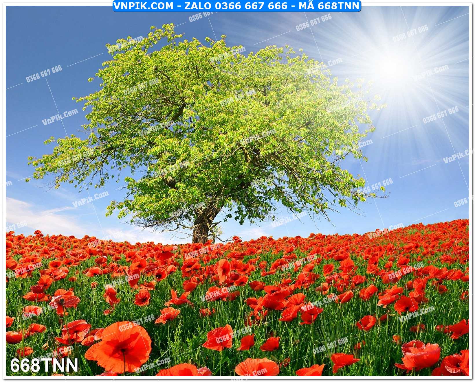 Tranh phong cảnh thiên nhiên mã file 668TNN
