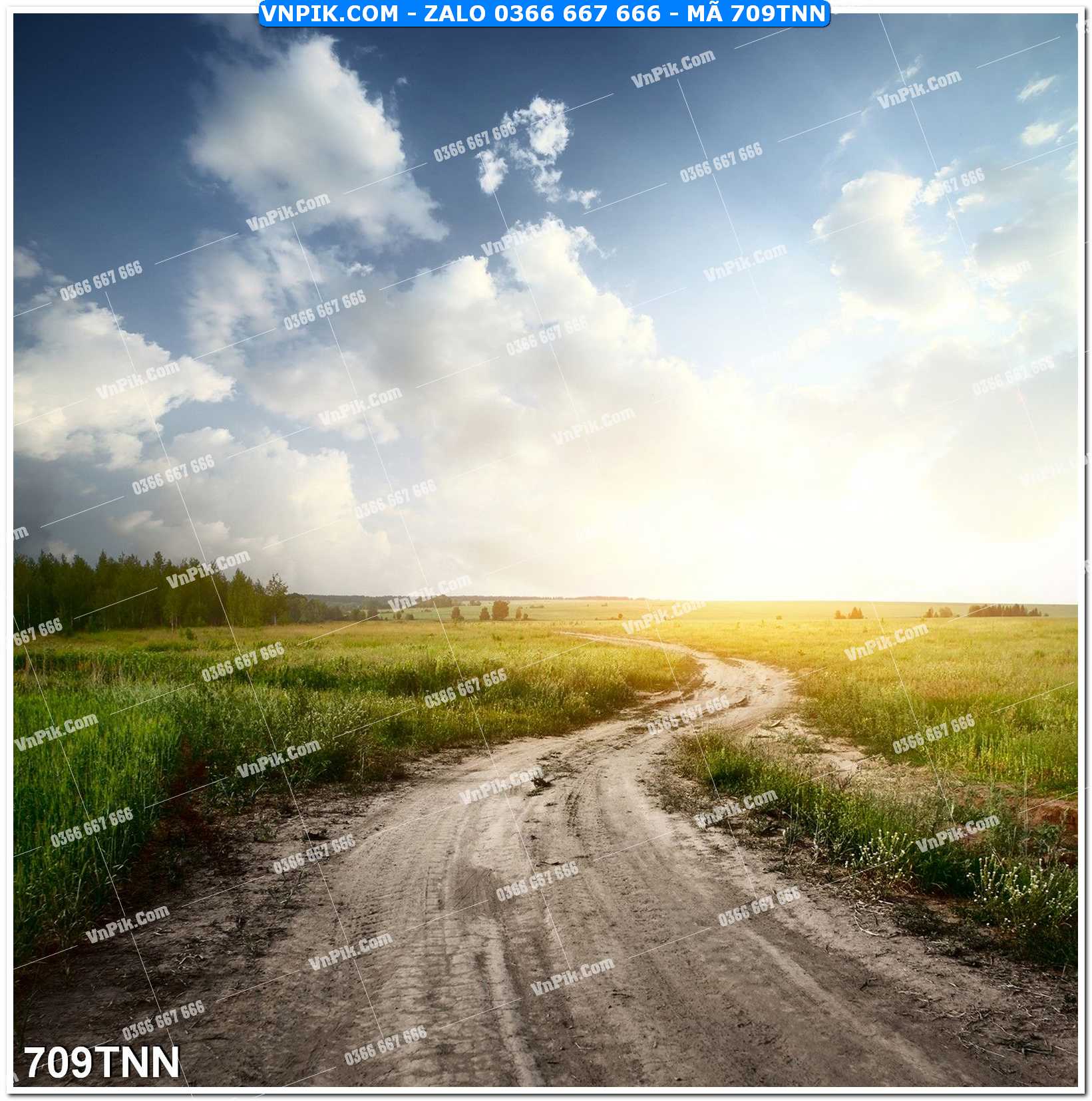 Tranh phong cảnh thiên nhiên mã file 709TNN