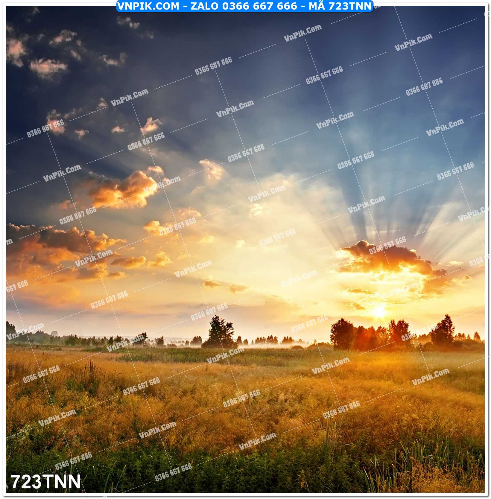 Tranh phong cảnh thiên nhiên mã file 723TNN