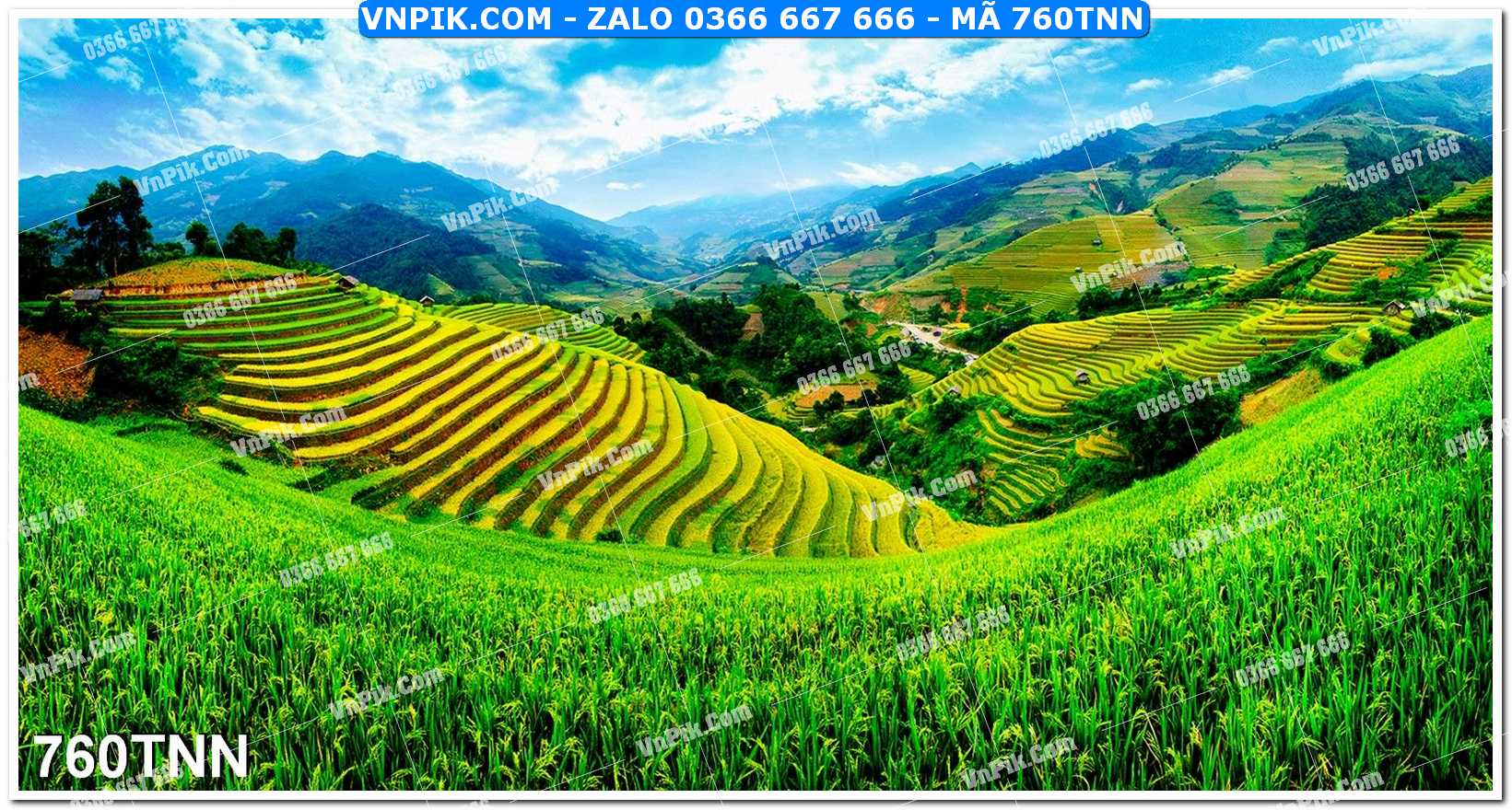 Tranh phong cảnh thiên nhiên mã file 760TNN