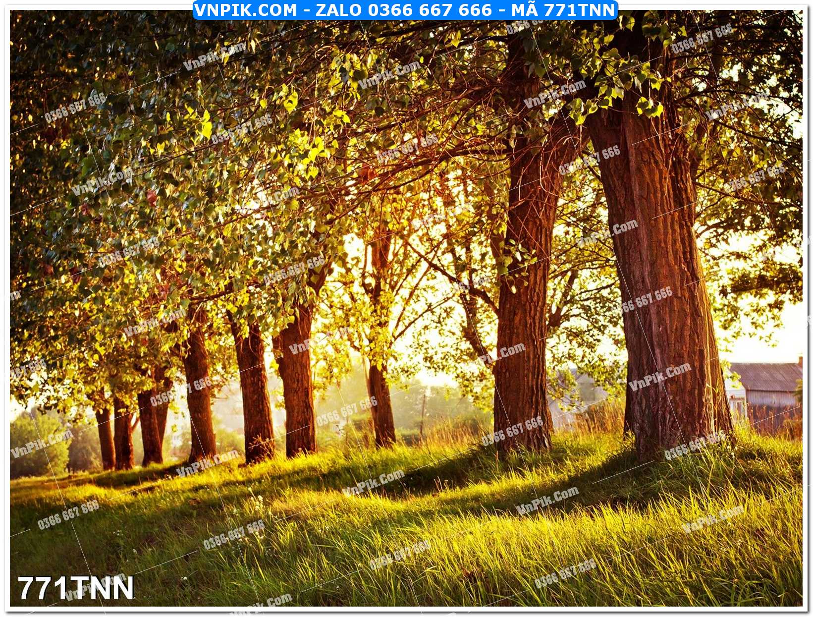Tranh phong cảnh thiên nhiên mã file 771TNN