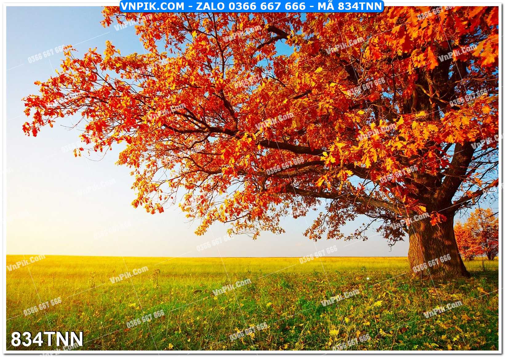 Tranh phong cảnh thiên nhiên mã file 834TNN