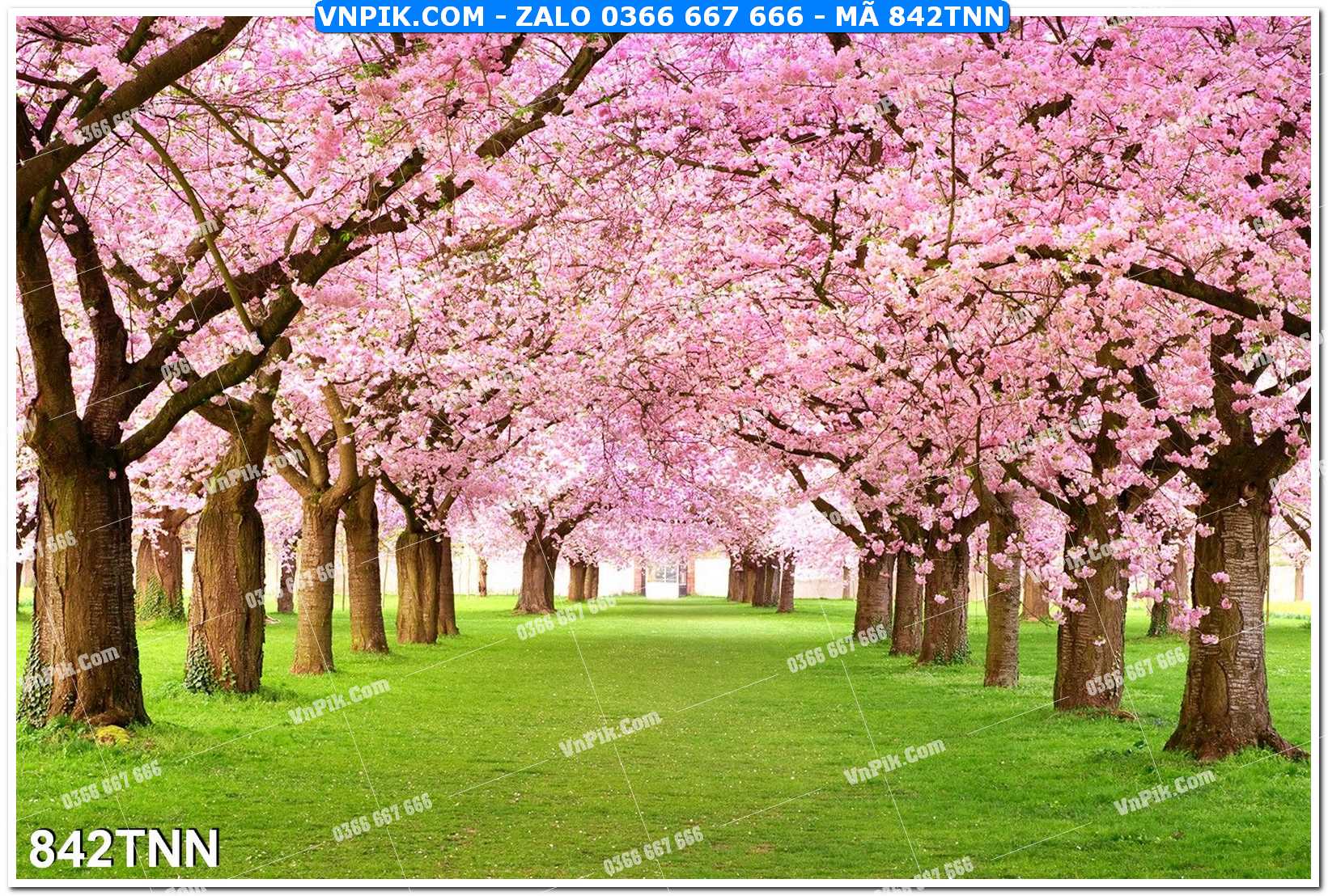 Tranh phong cảnh thiên nhiên mã file 842TNN