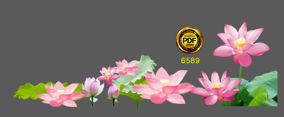 Hoa Sen trang trí pano khẩu hiệu #2 file corel x5