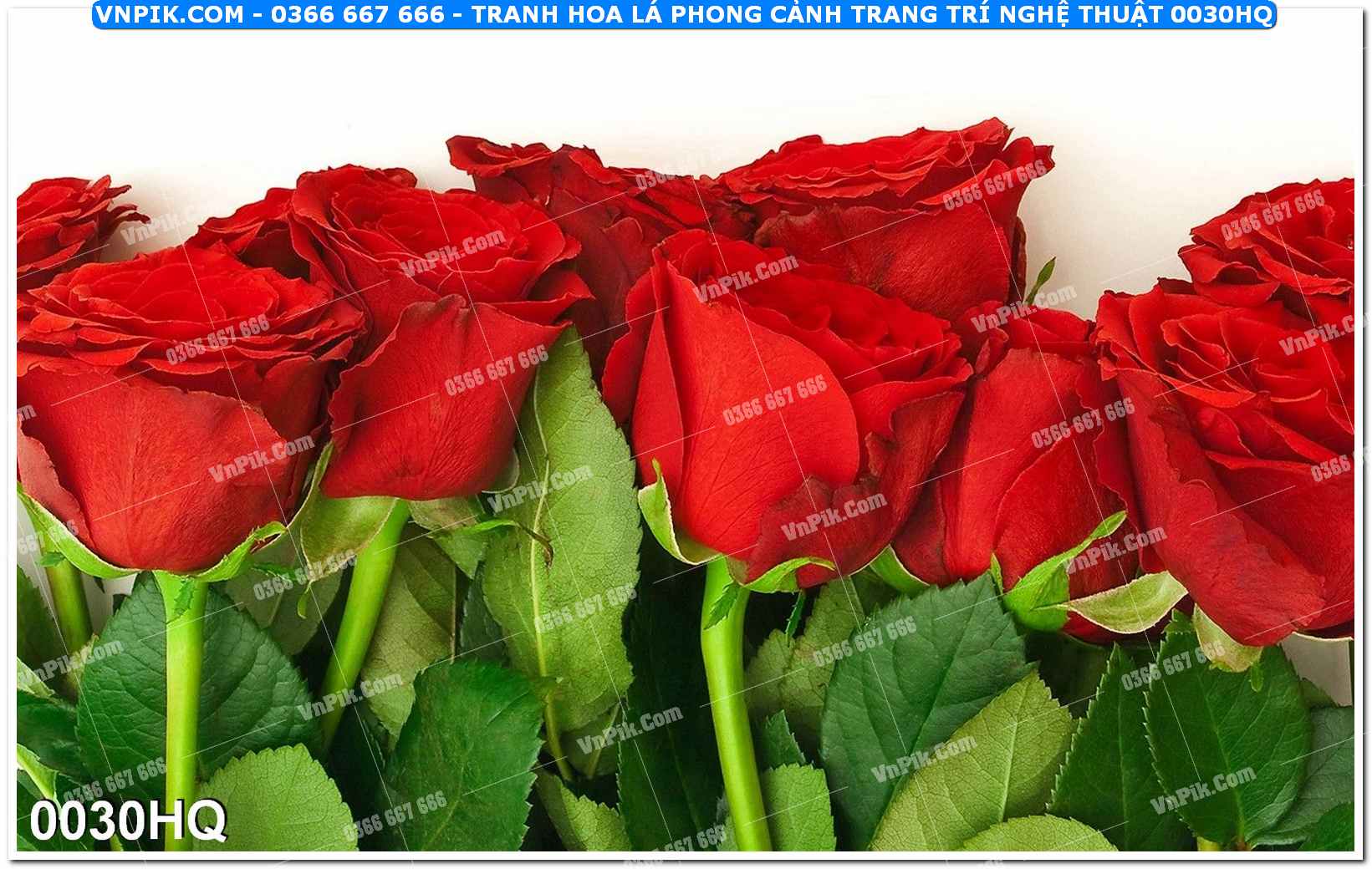 Tranh hoa lá phong cảnh trang trí nghệ thuật 0030HQ
