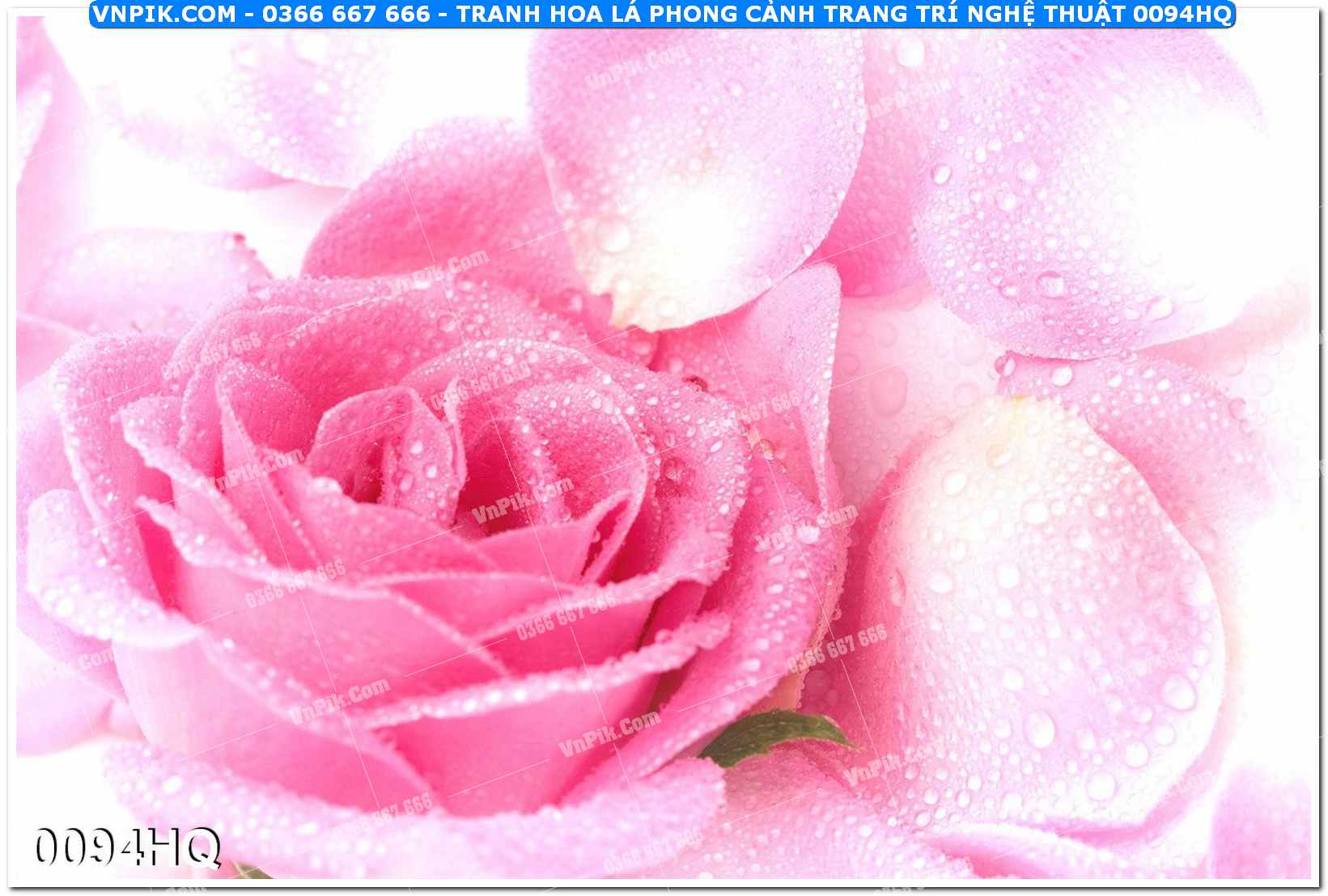 Tranh hoa lá phong cảnh trang trí nghệ thuật 0094HQ