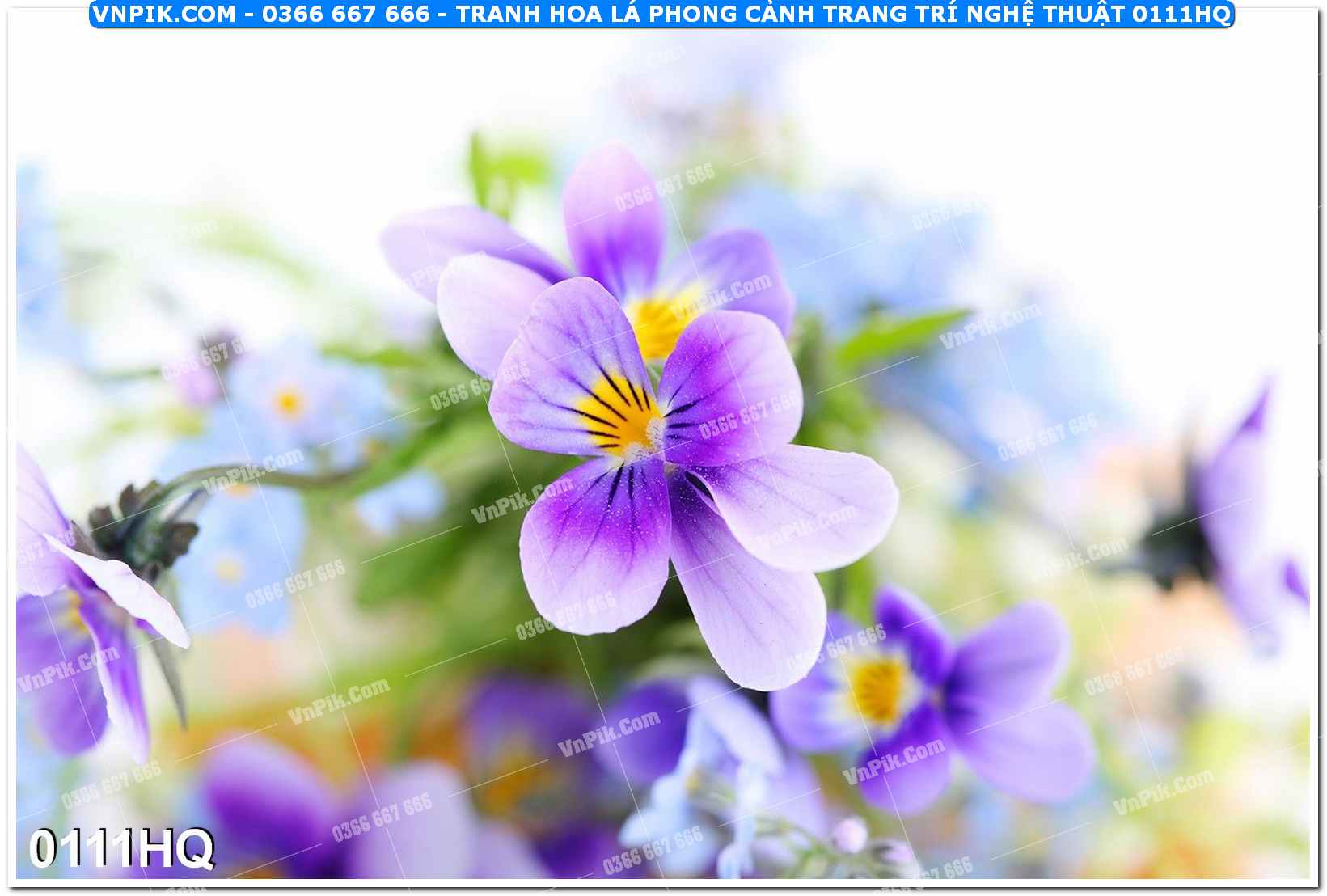 Tranh hoa lá phong cảnh trang trí nghệ thuật 0111HQ