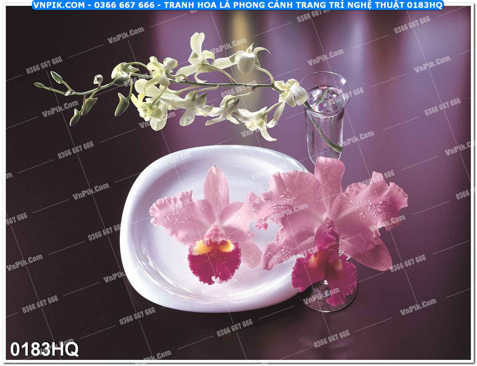 Tranh hoa lá phong cảnh trang trí nghệ thuật 0183HQ