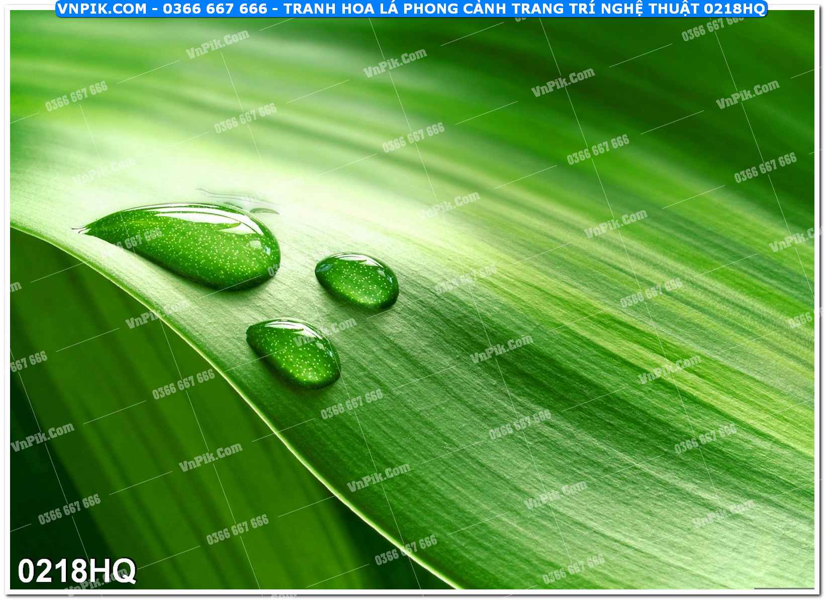 Tranh hoa lá phong cảnh trang trí nghệ thuật 0218HQ