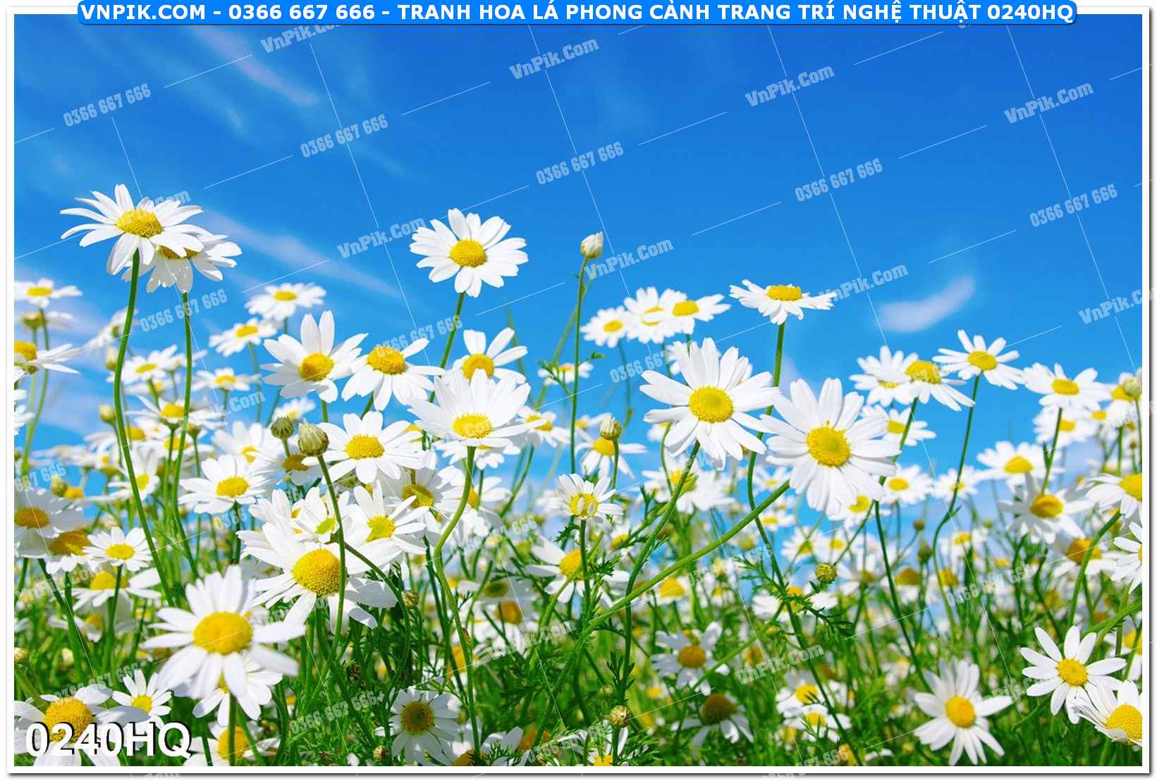 Tranh hoa lá phong cảnh trang trí nghệ thuật 0240HQ