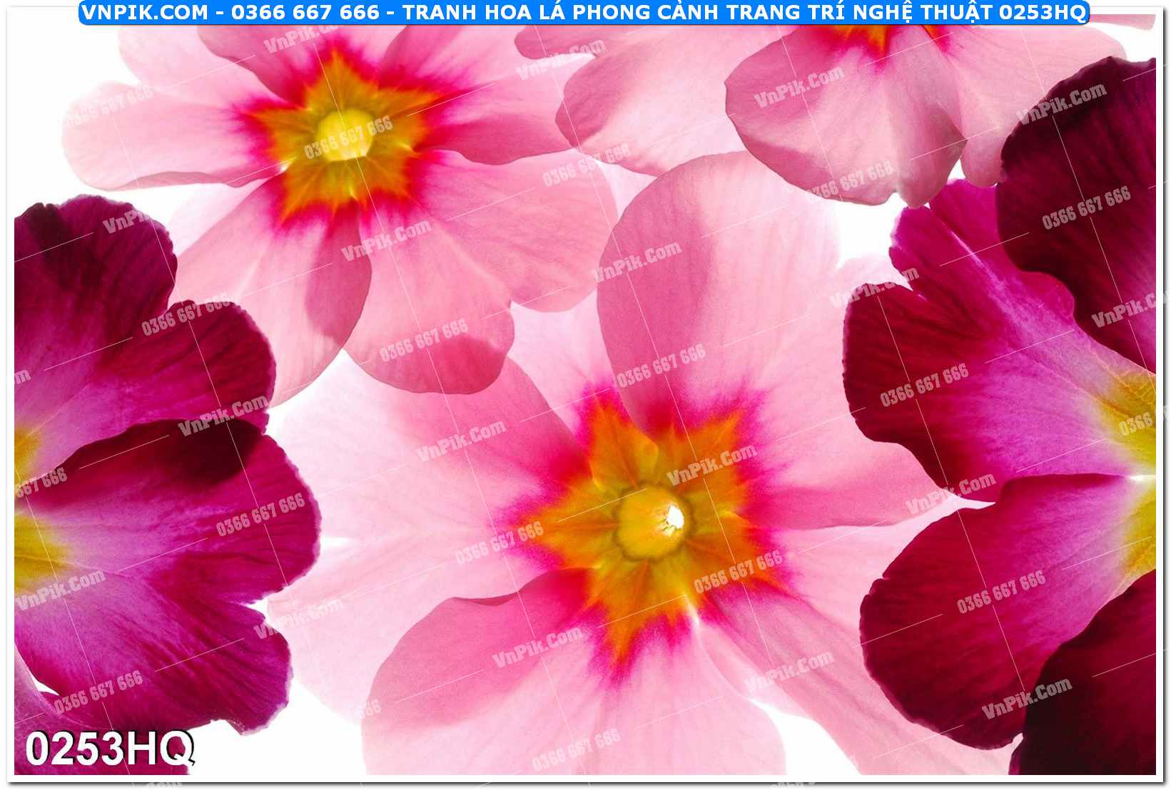 Tranh hoa lá phong cảnh trang trí nghệ thuật 0253HQ