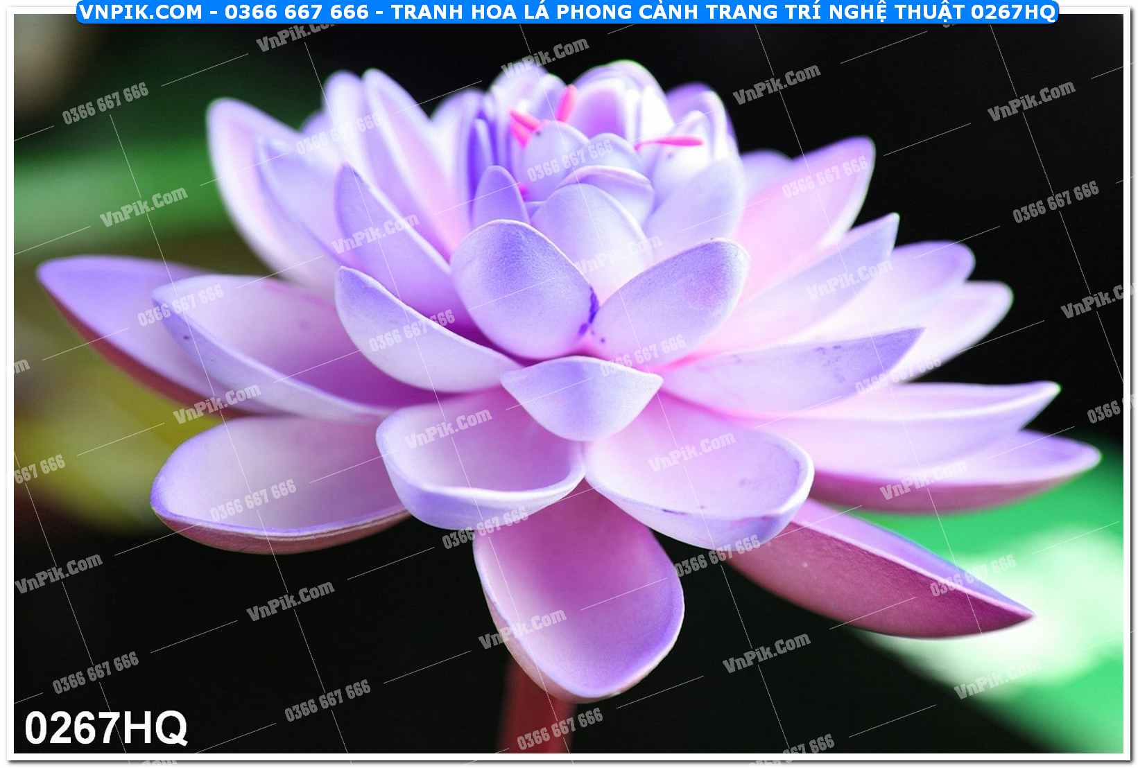 Tranh hoa lá phong cảnh trang trí nghệ thuật 0267HQ