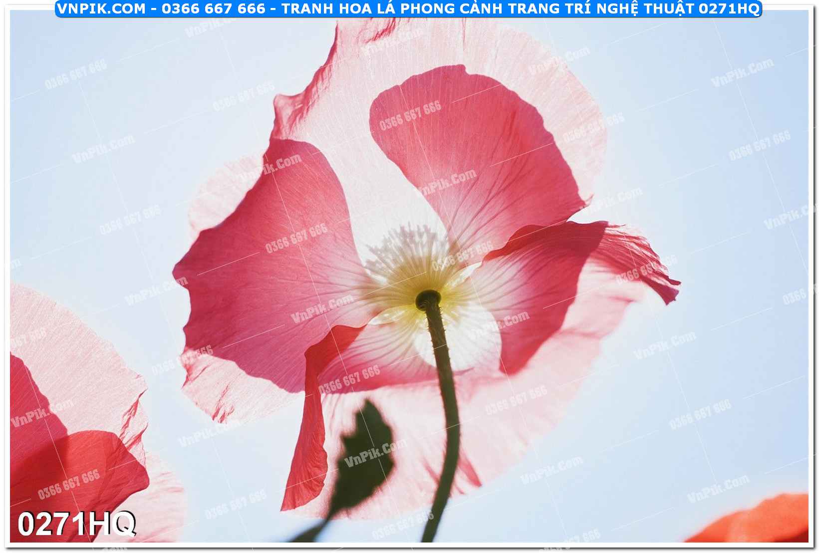Tranh hoa lá phong cảnh trang trí nghệ thuật 0271HQ