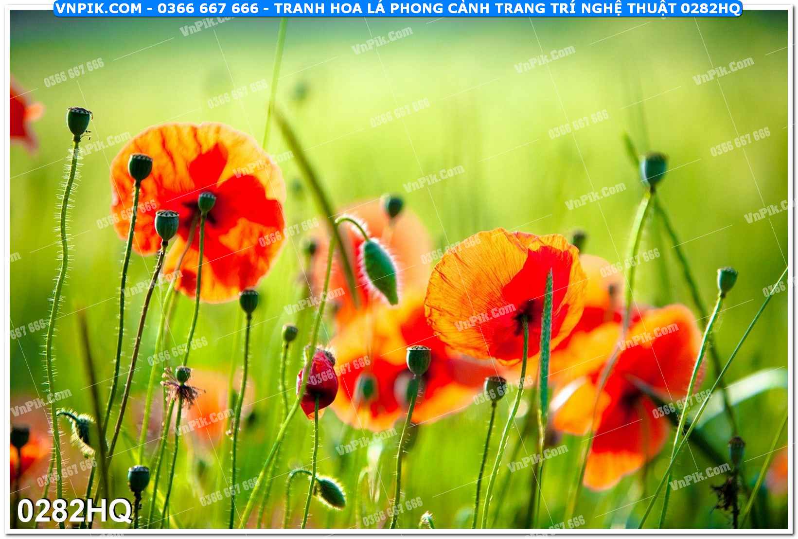 Tranh hoa lá phong cảnh trang trí nghệ thuật 0282HQ