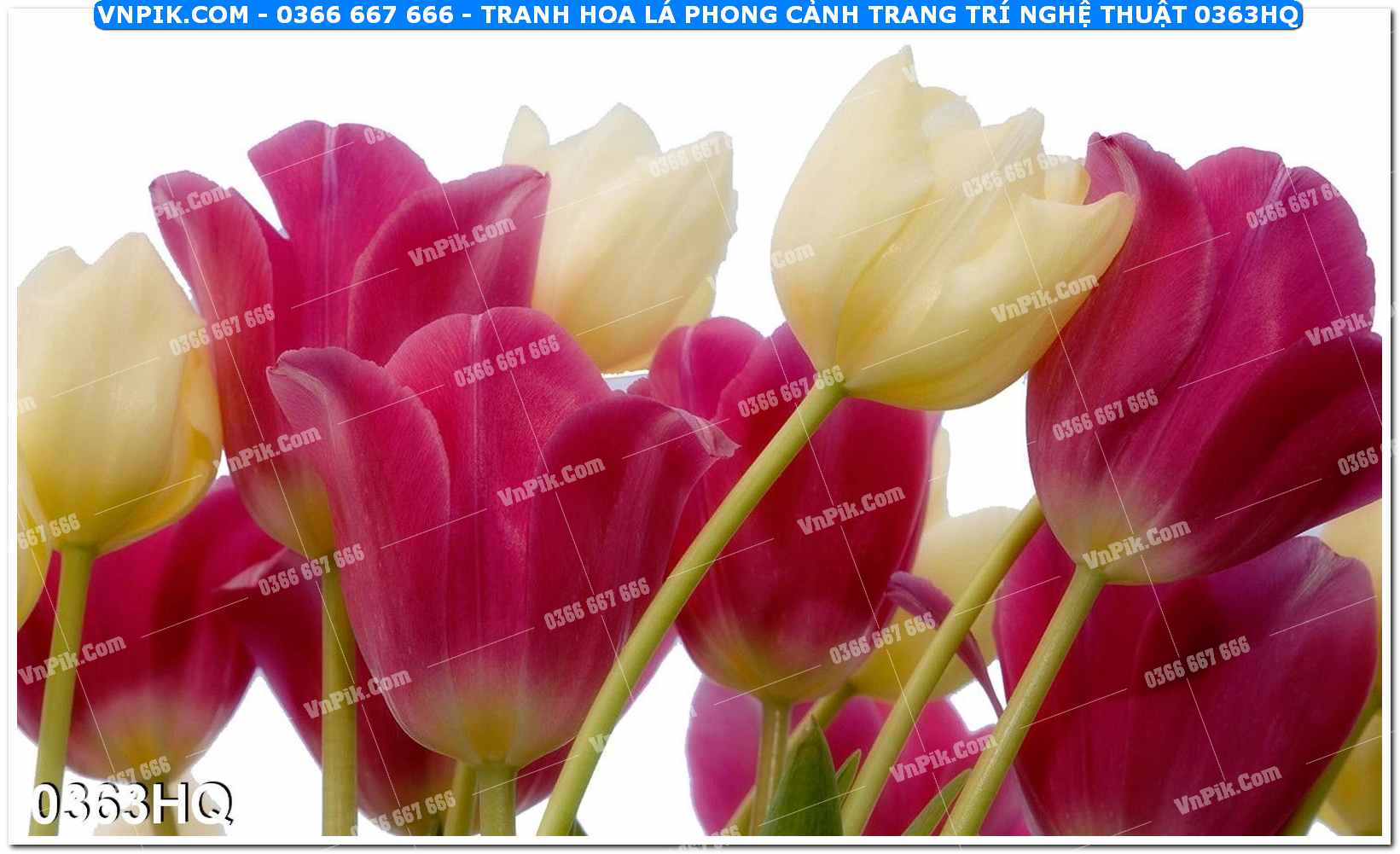 Tranh hoa lá phong cảnh trang trí nghệ thuật 0363HQ
