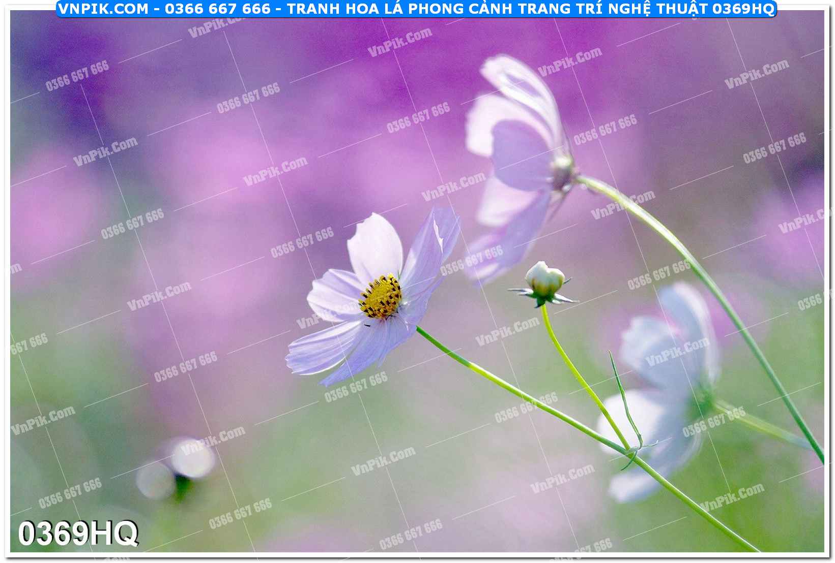 Tranh hoa lá phong cảnh trang trí nghệ thuật 0369HQ