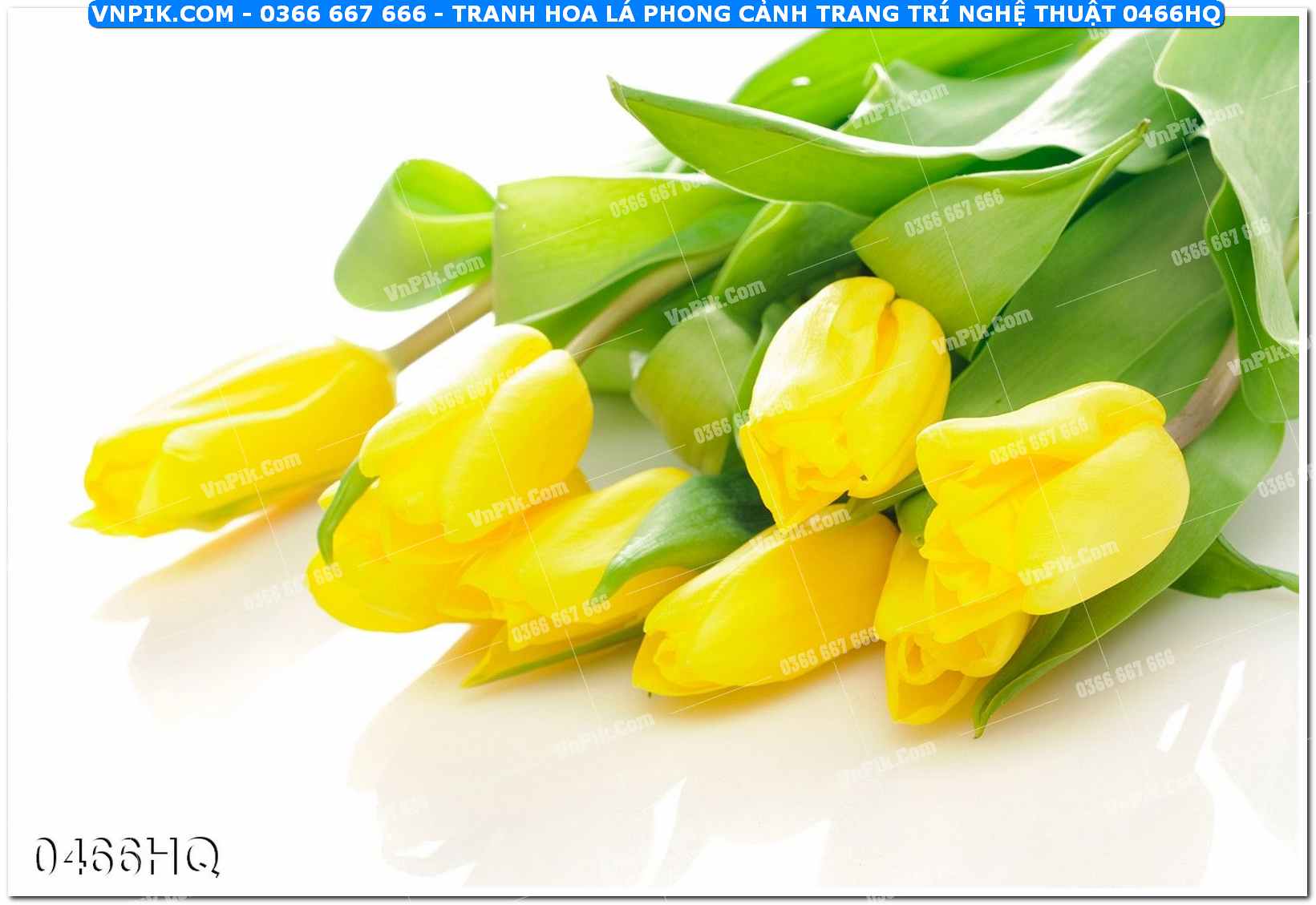 Tranh hoa lá phong cảnh trang trí nghệ thuật 0466HQ