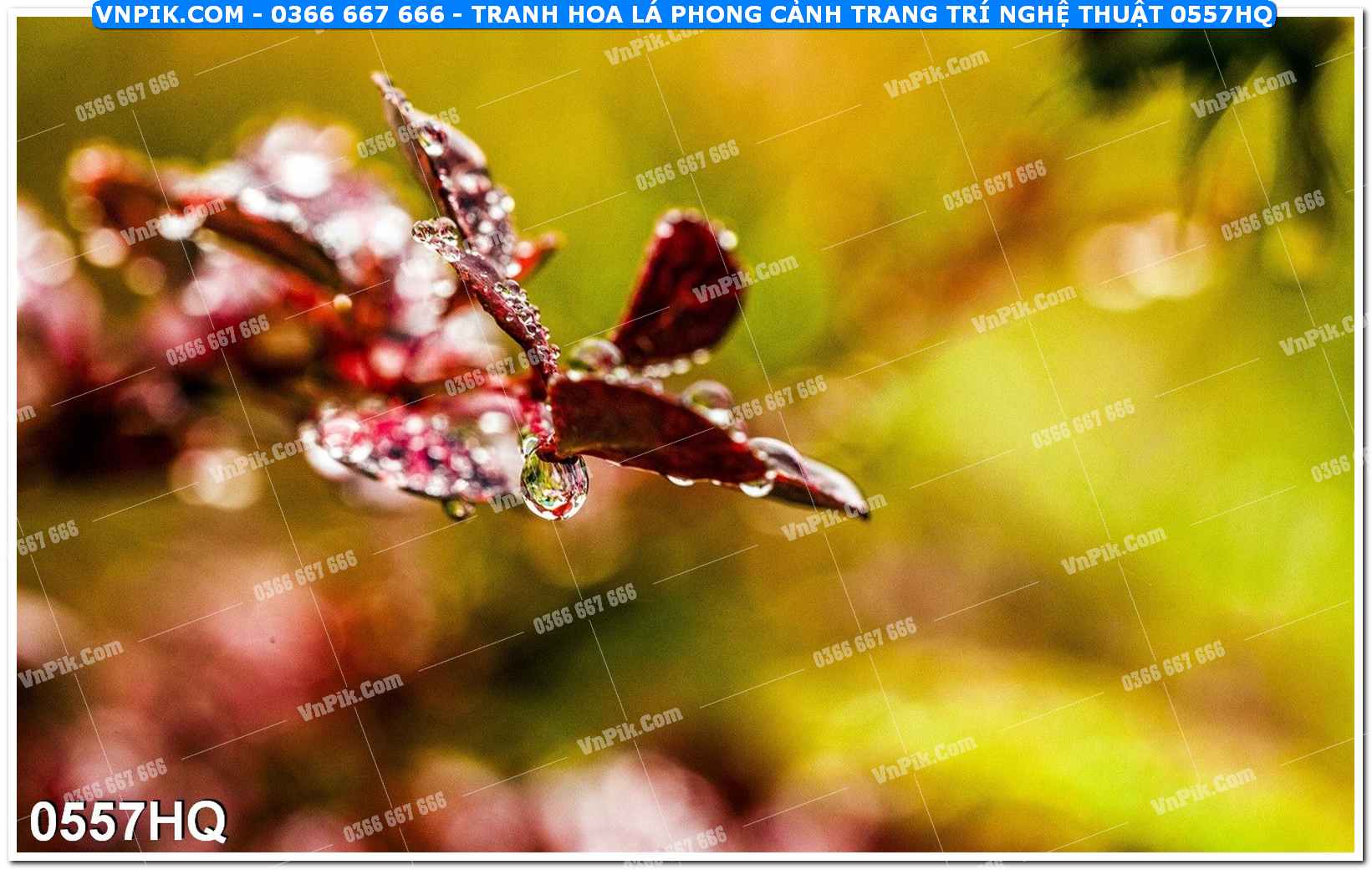 Tranh hoa lá phong cảnh trang trí nghệ thuật 0557HQ