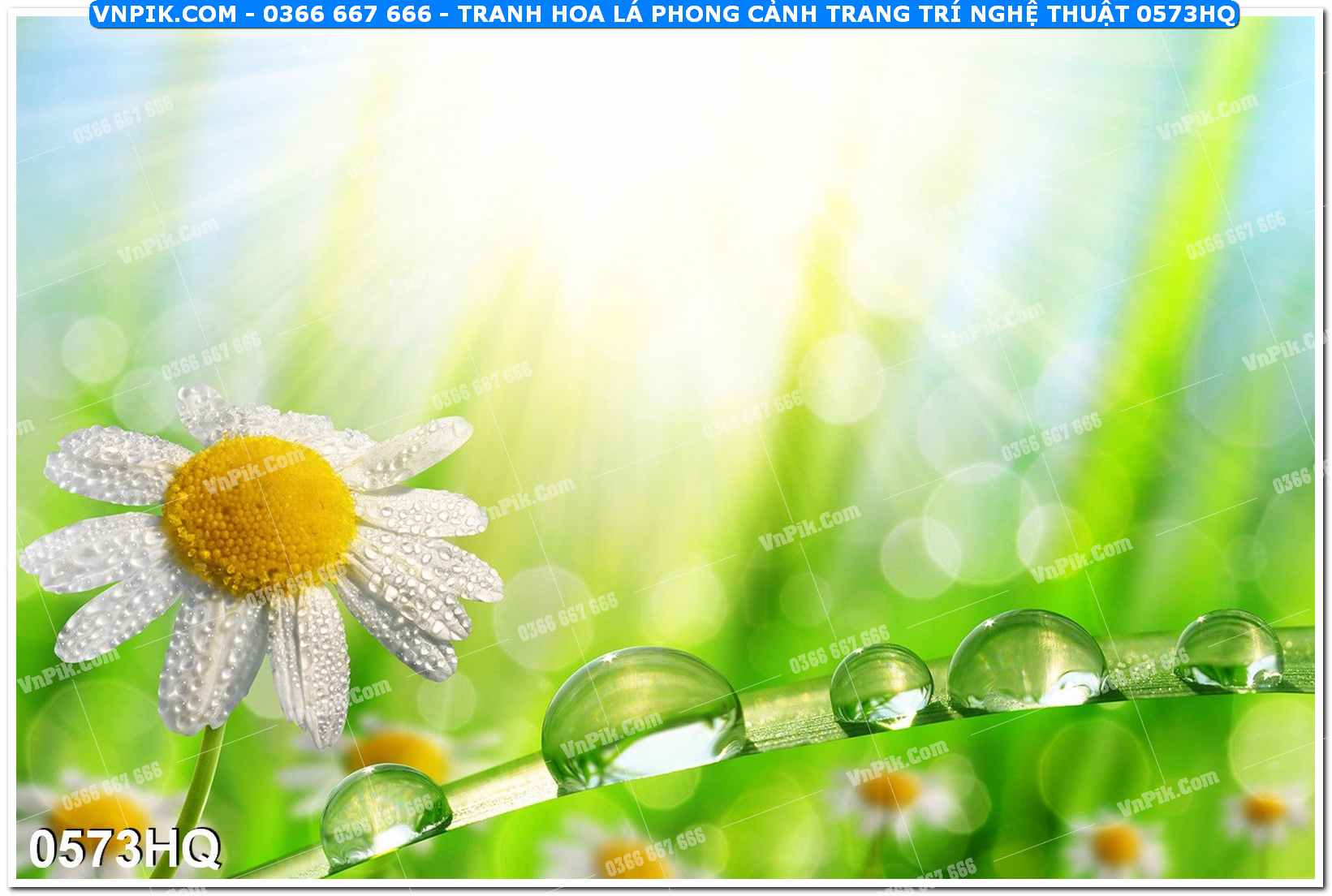 Tranh hoa lá phong cảnh trang trí nghệ thuật 0573HQ
