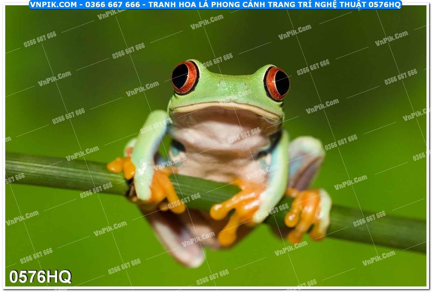 Tranh hoa lá phong cảnh trang trí nghệ thuật 0576HQ