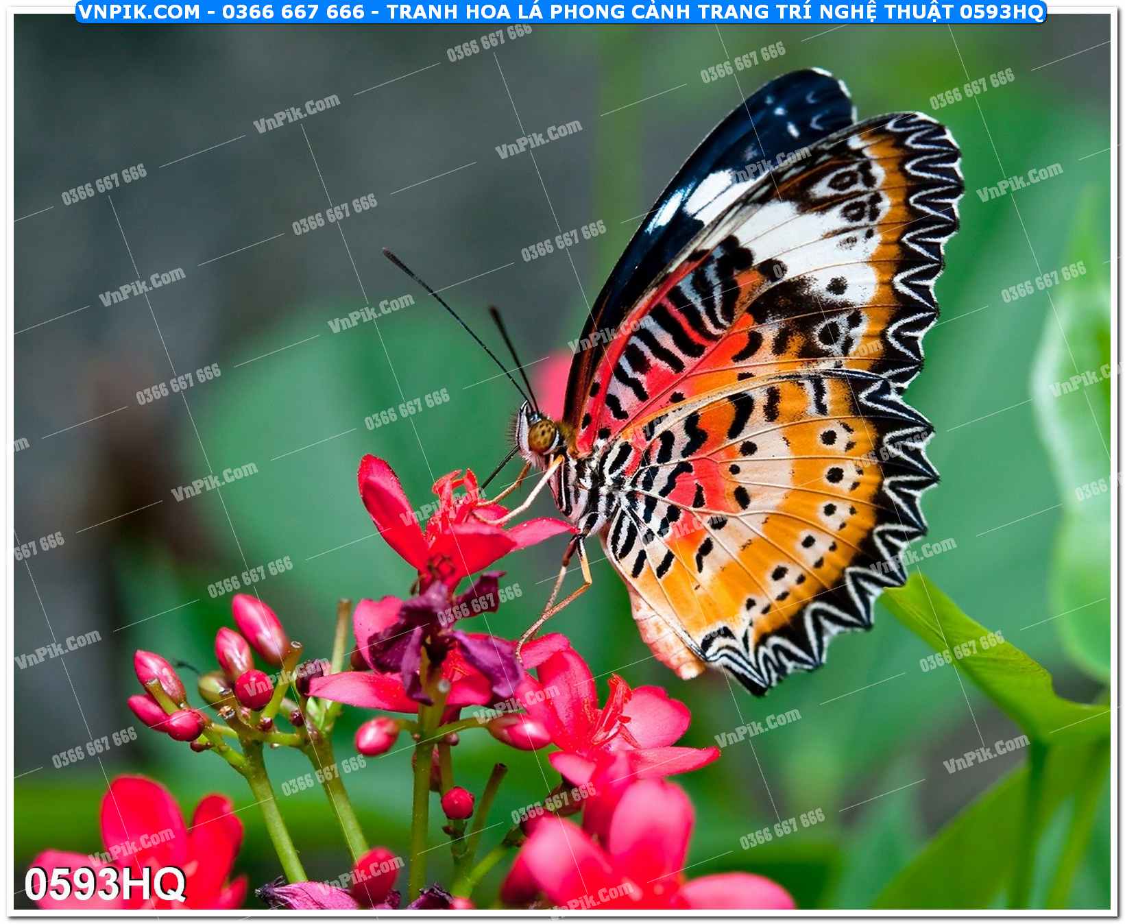 Tranh hoa lá phong cảnh trang trí nghệ thuật 0593HQ