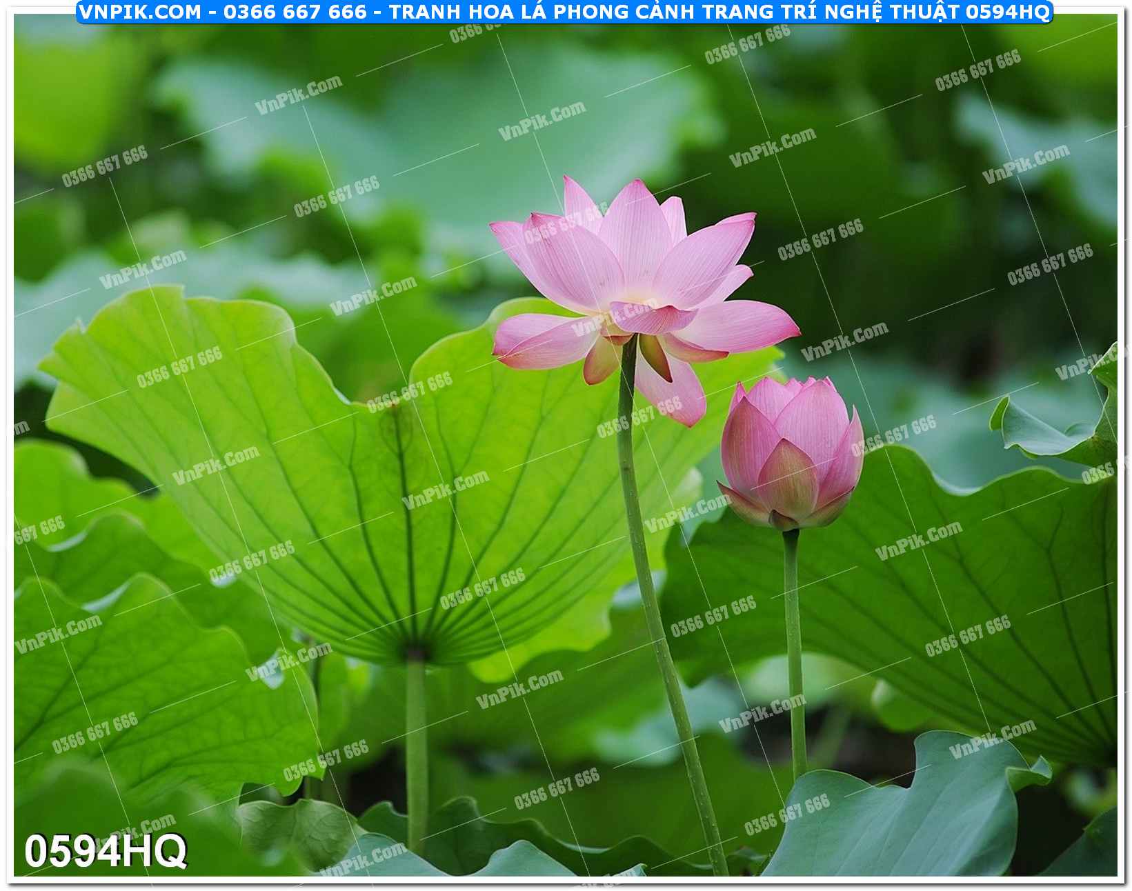 Tranh hoa lá phong cảnh trang trí nghệ thuật 0594HQ