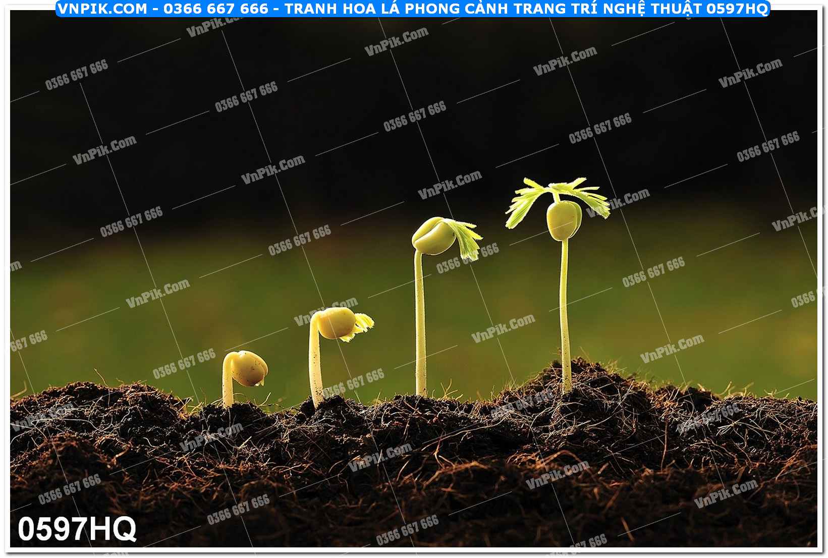 Tranh hoa lá phong cảnh trang trí nghệ thuật 0597HQ