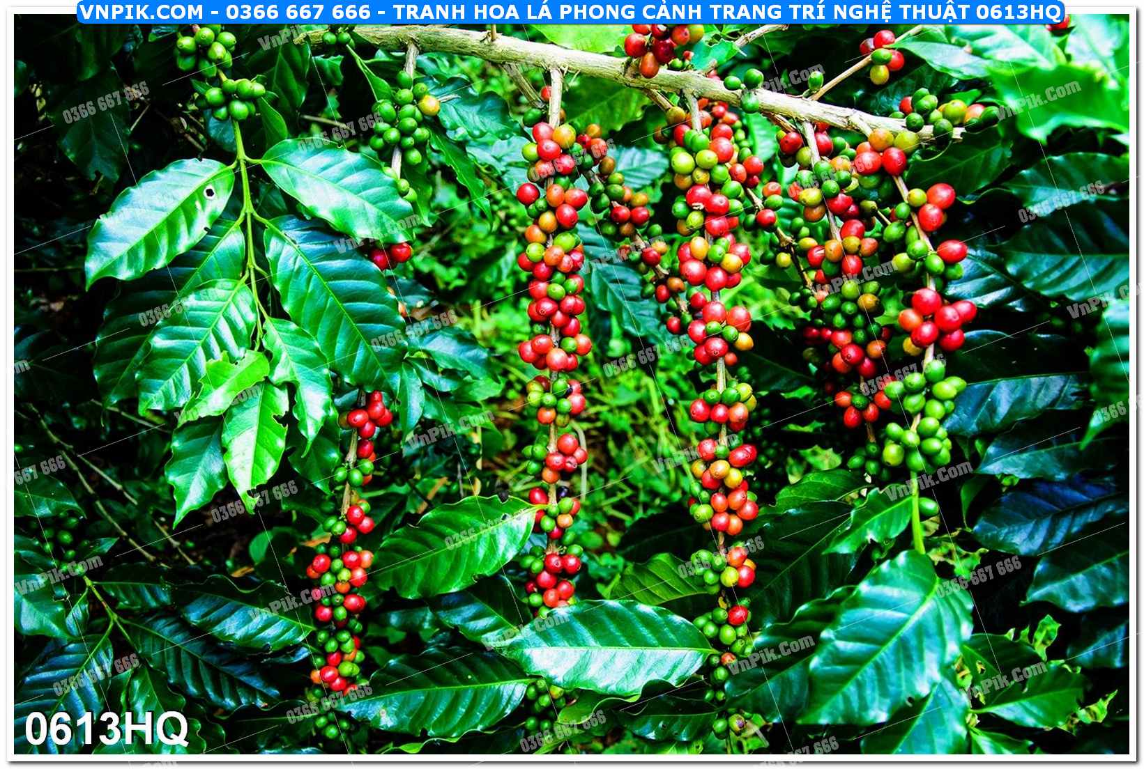 Tranh hoa lá phong cảnh trang trí nghệ thuật 0613HQ