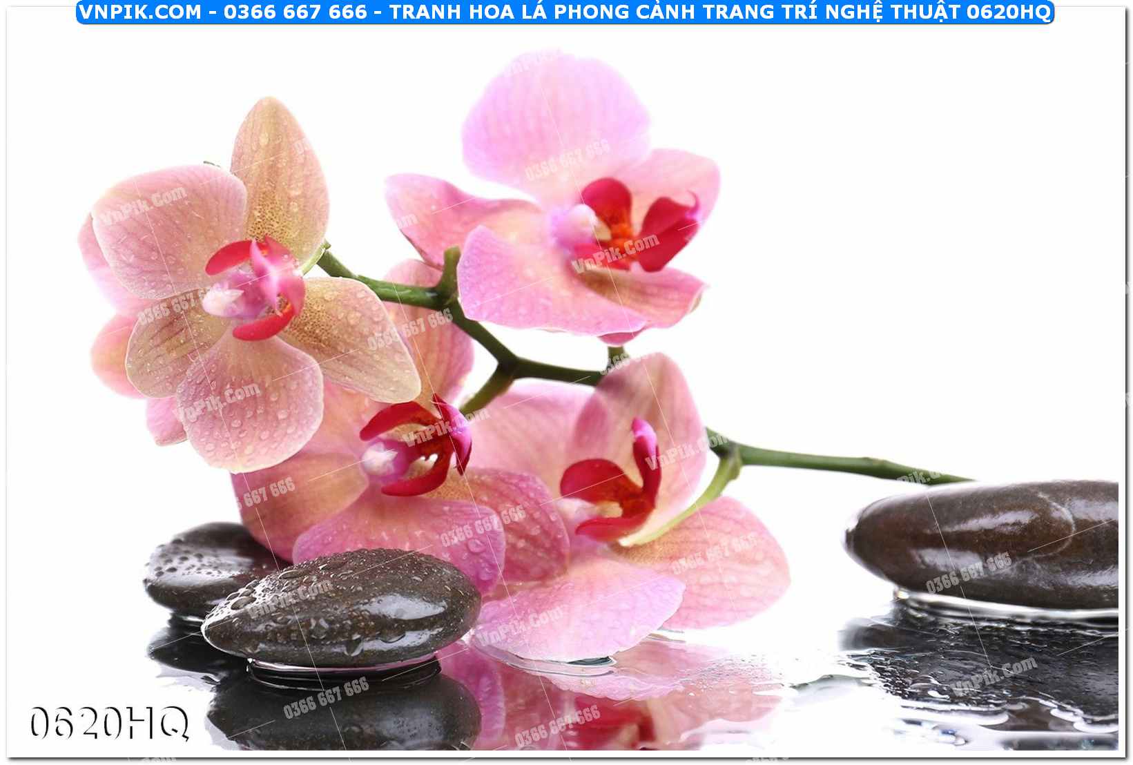Tranh hoa lá phong cảnh trang trí nghệ thuật 0620HQ